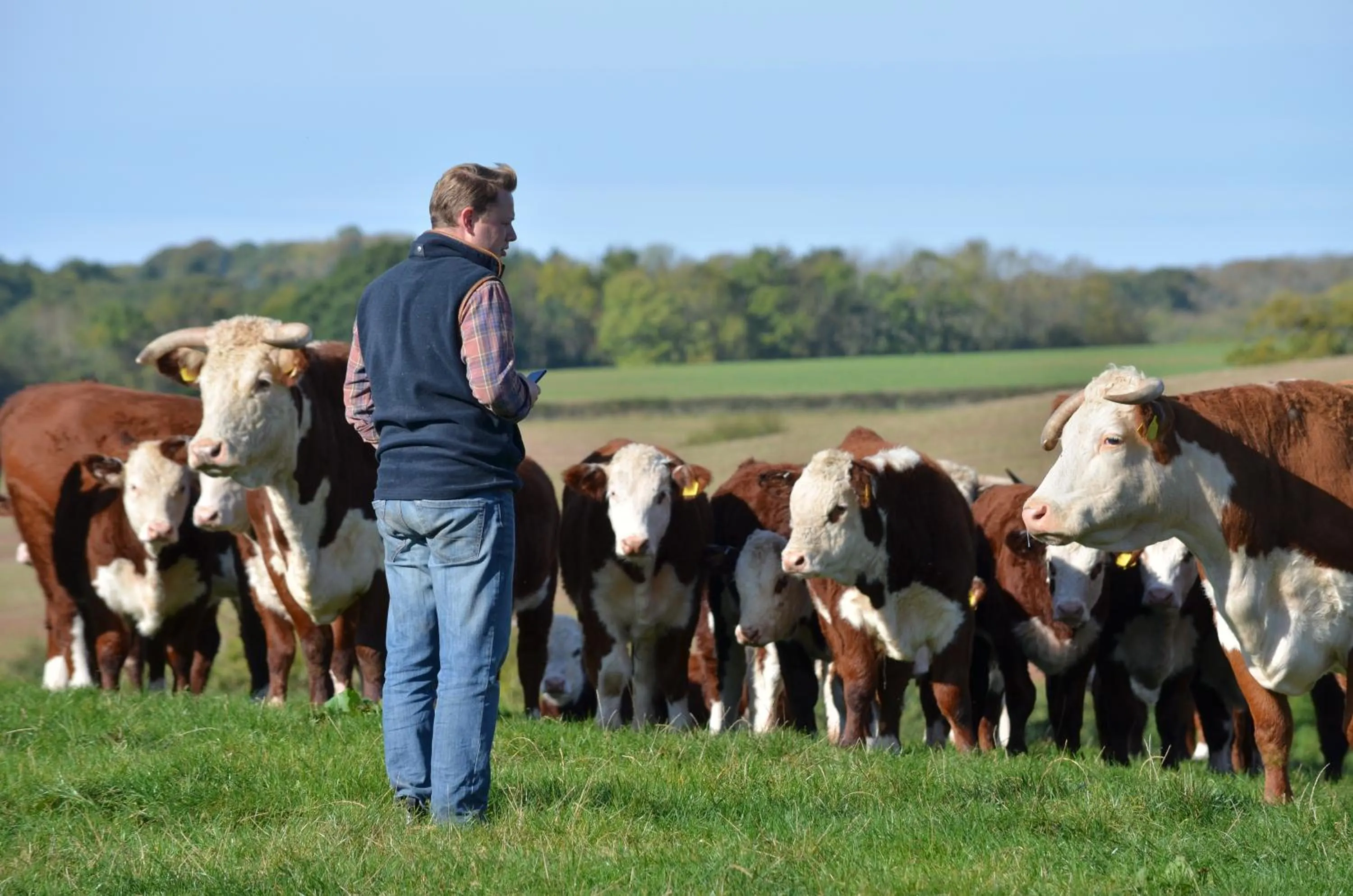 kitchen in Castle House Hotel