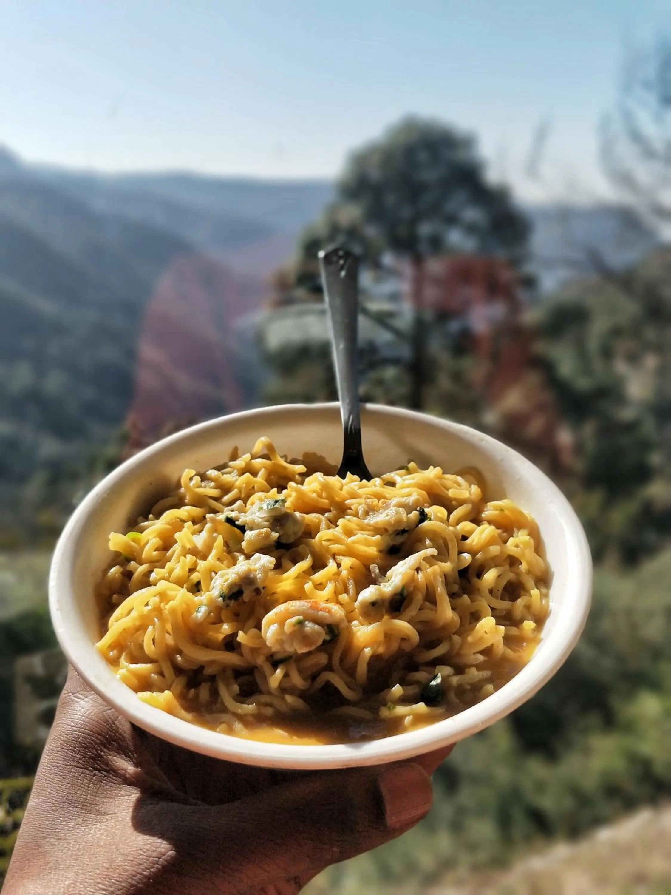 Food in The Cocoon Camps & nature Resorts