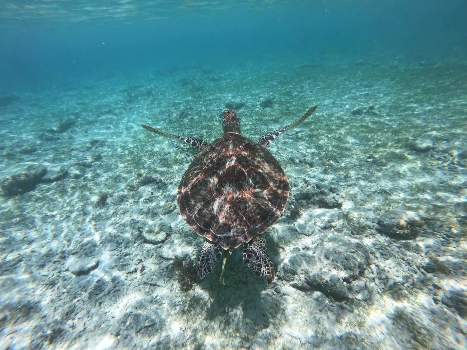Activities in Gili Tenda
