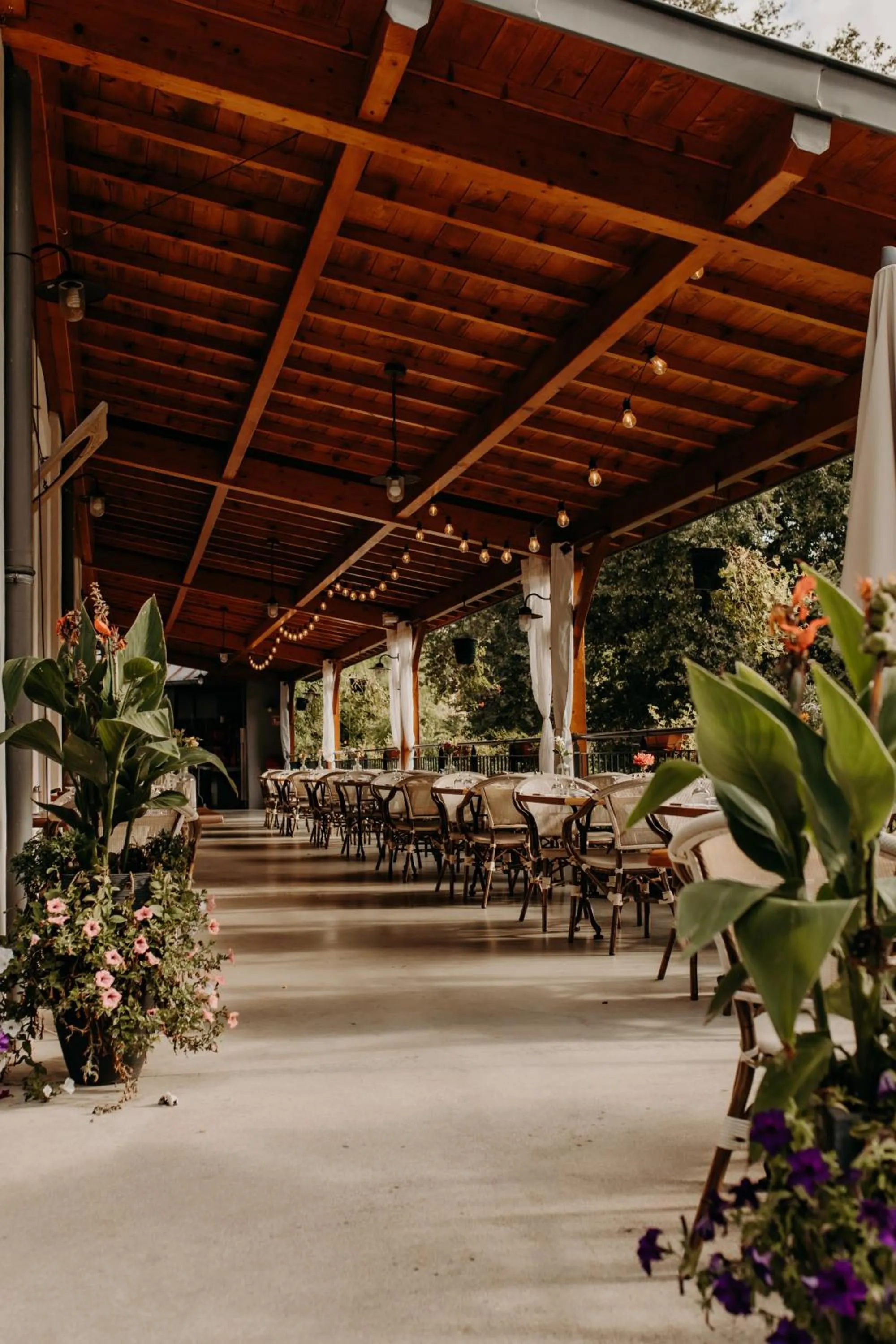 Patio in Logis - Hotel Restaurant du Parc