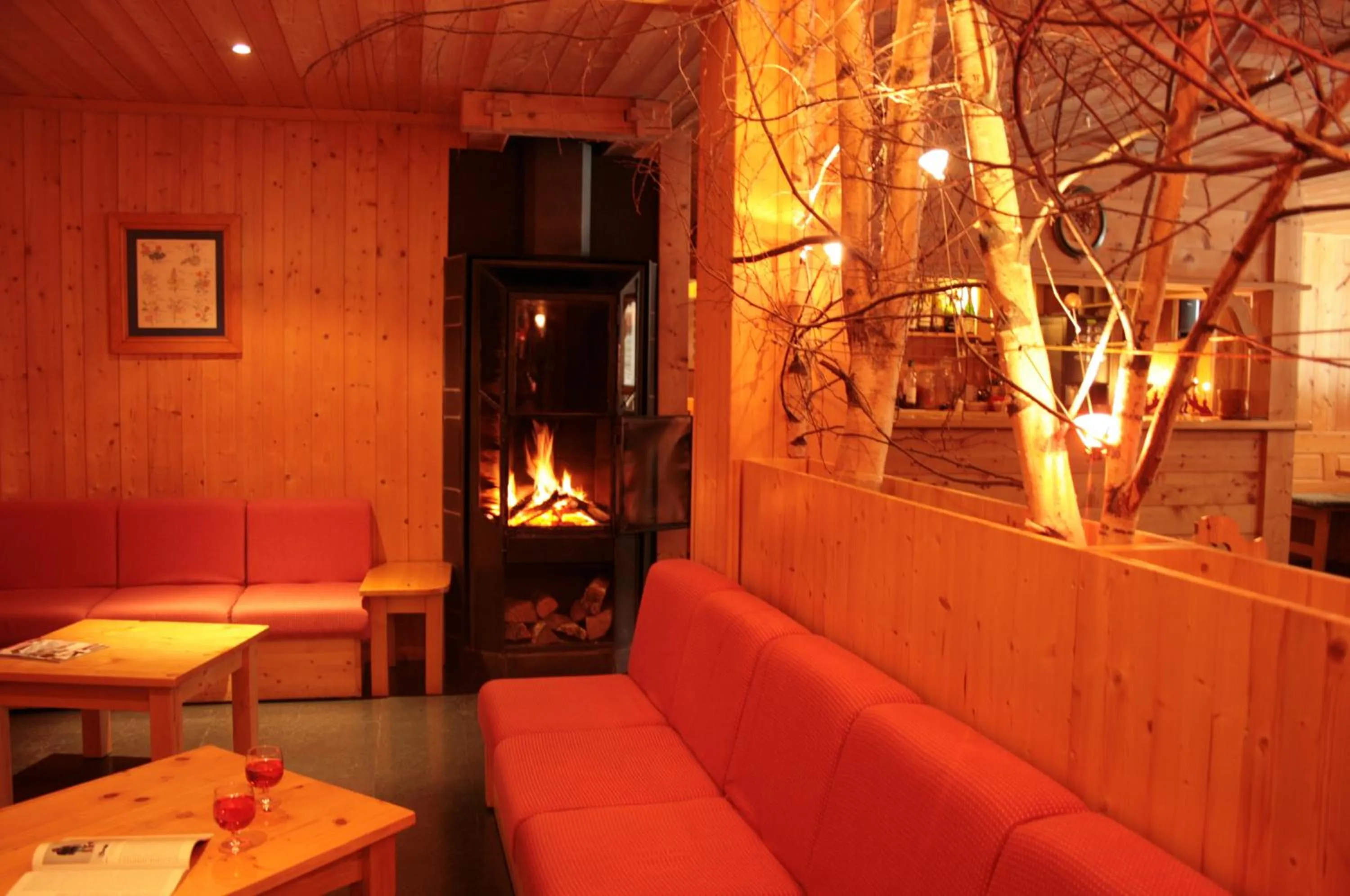 Lounge or bar in Hotel Les Lans