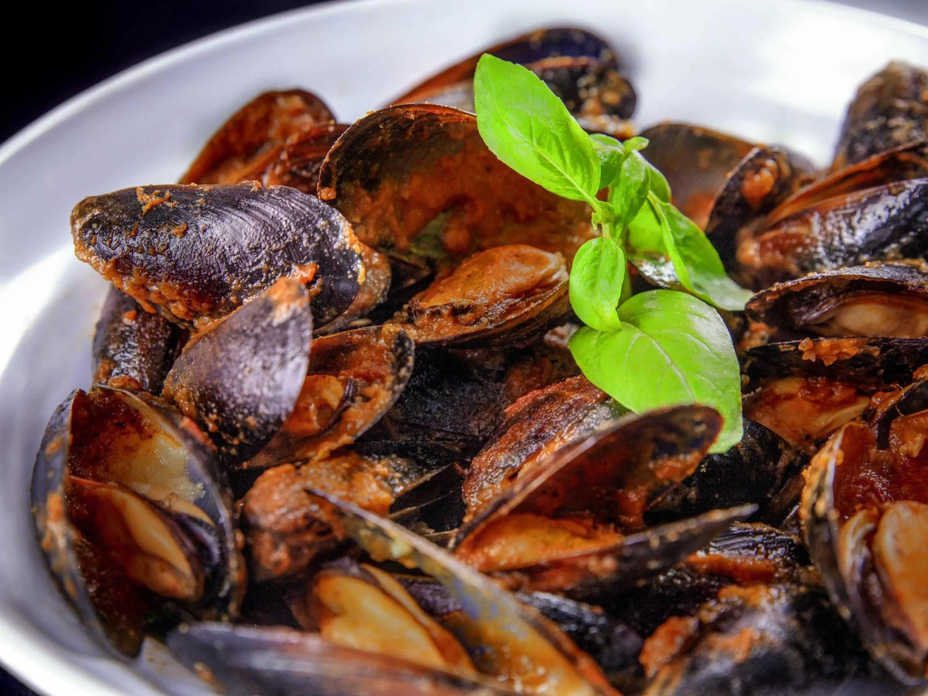 Restaurant/places to eat in ibis Apartado