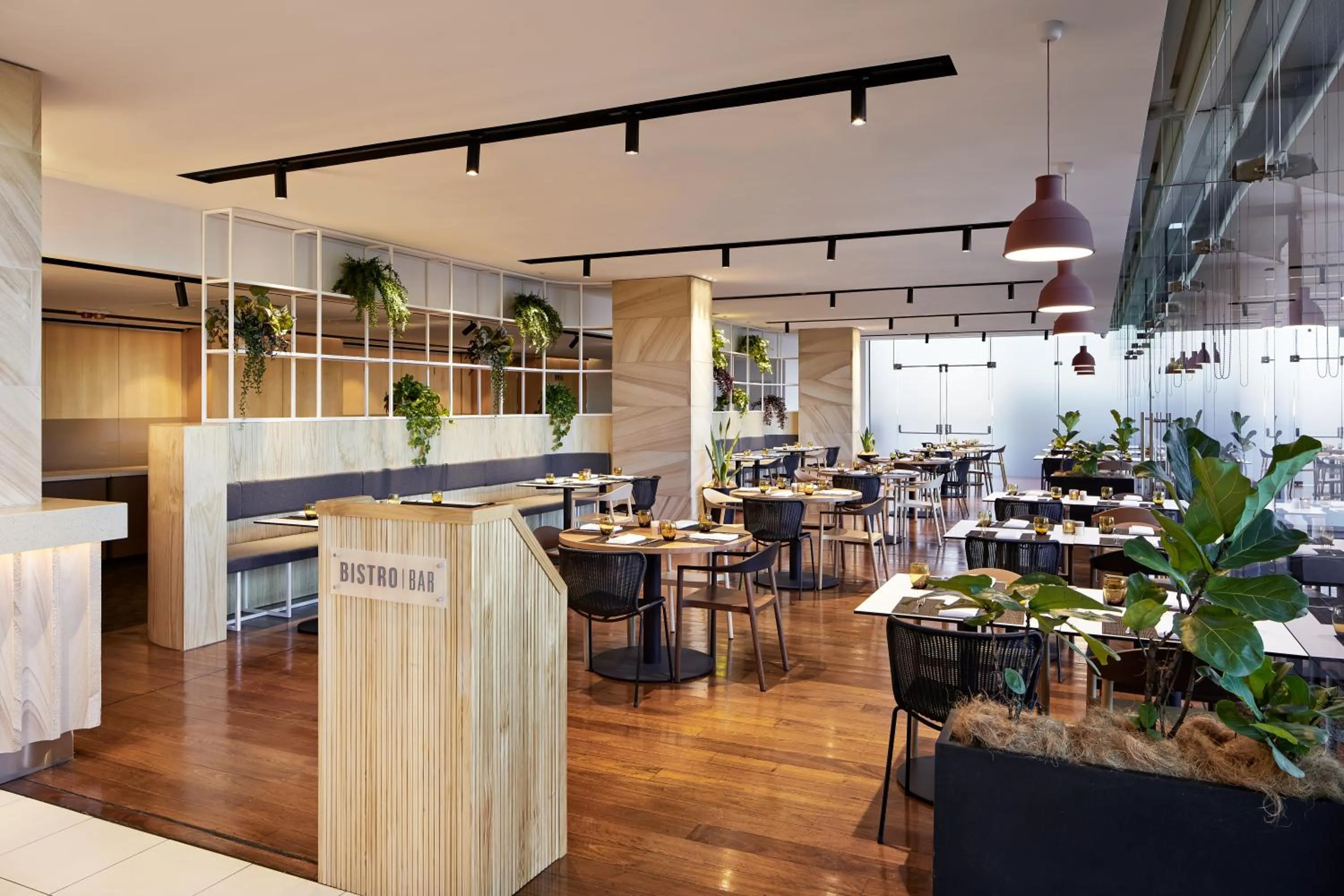 Restaurant/places to eat in Courtyard by Marriott Sydney-North Ryde