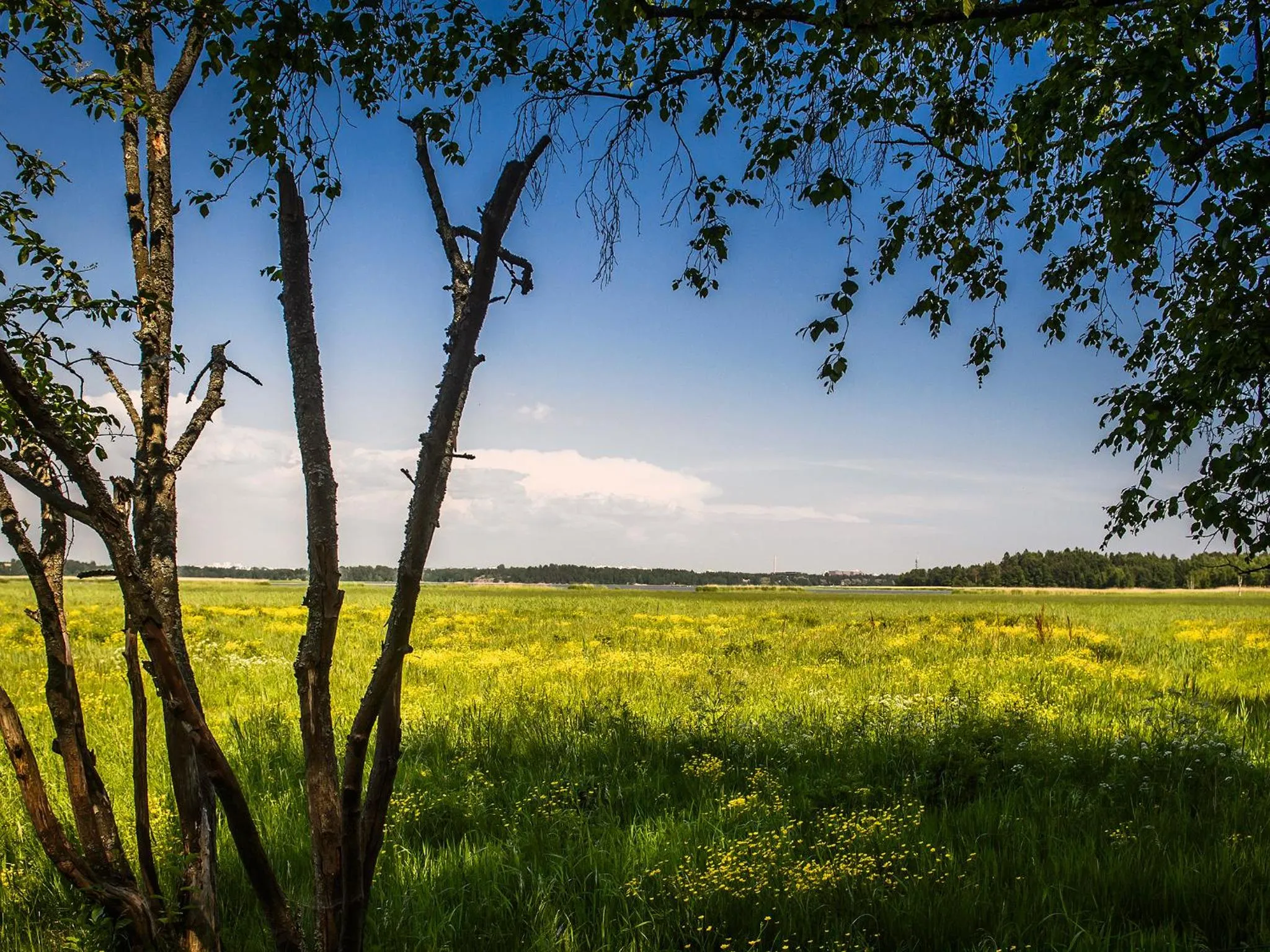 Bird's eye view in Radisson Blu Hotel Espoo