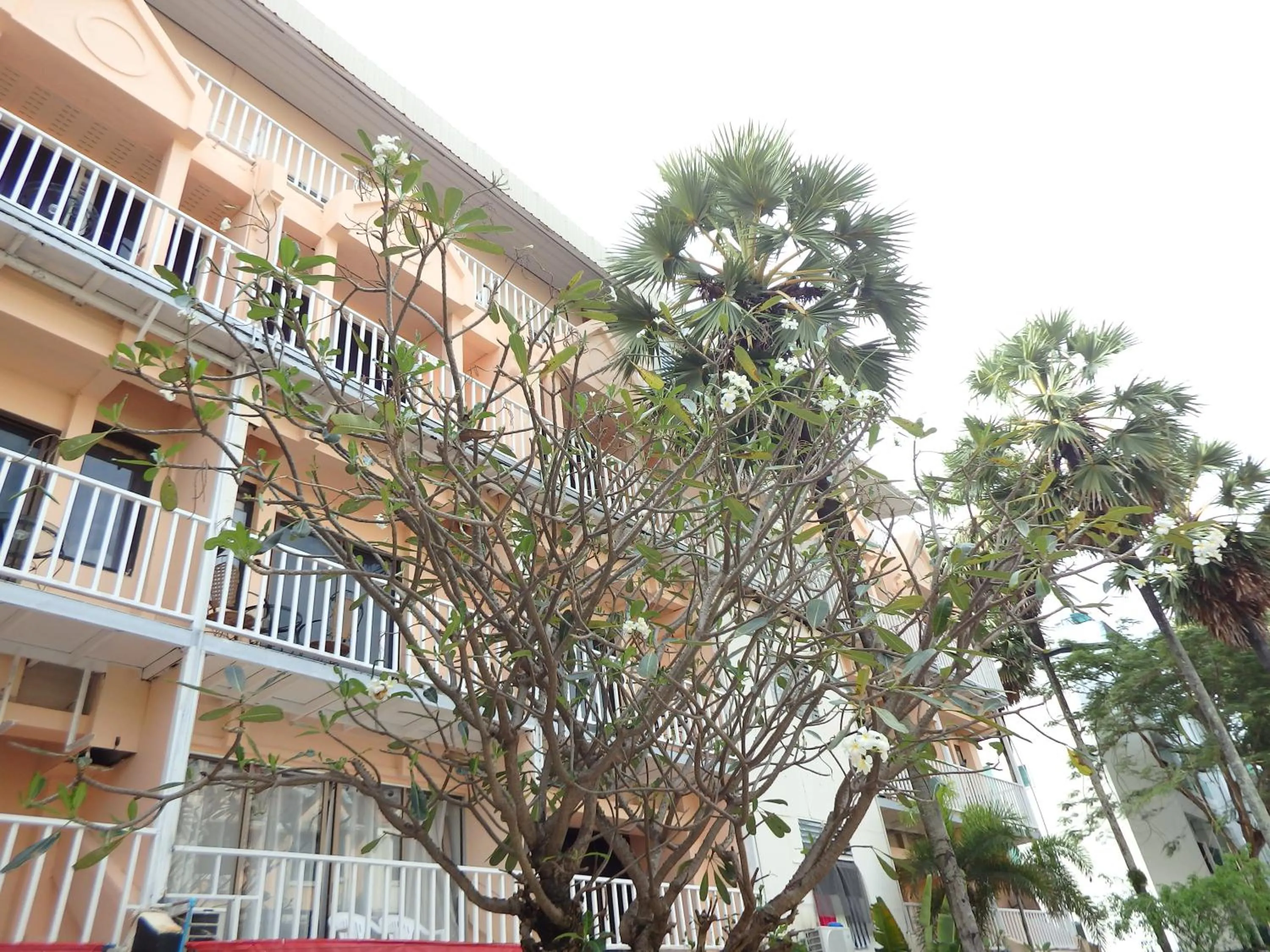 View (from property/room) in Boomerang Inn