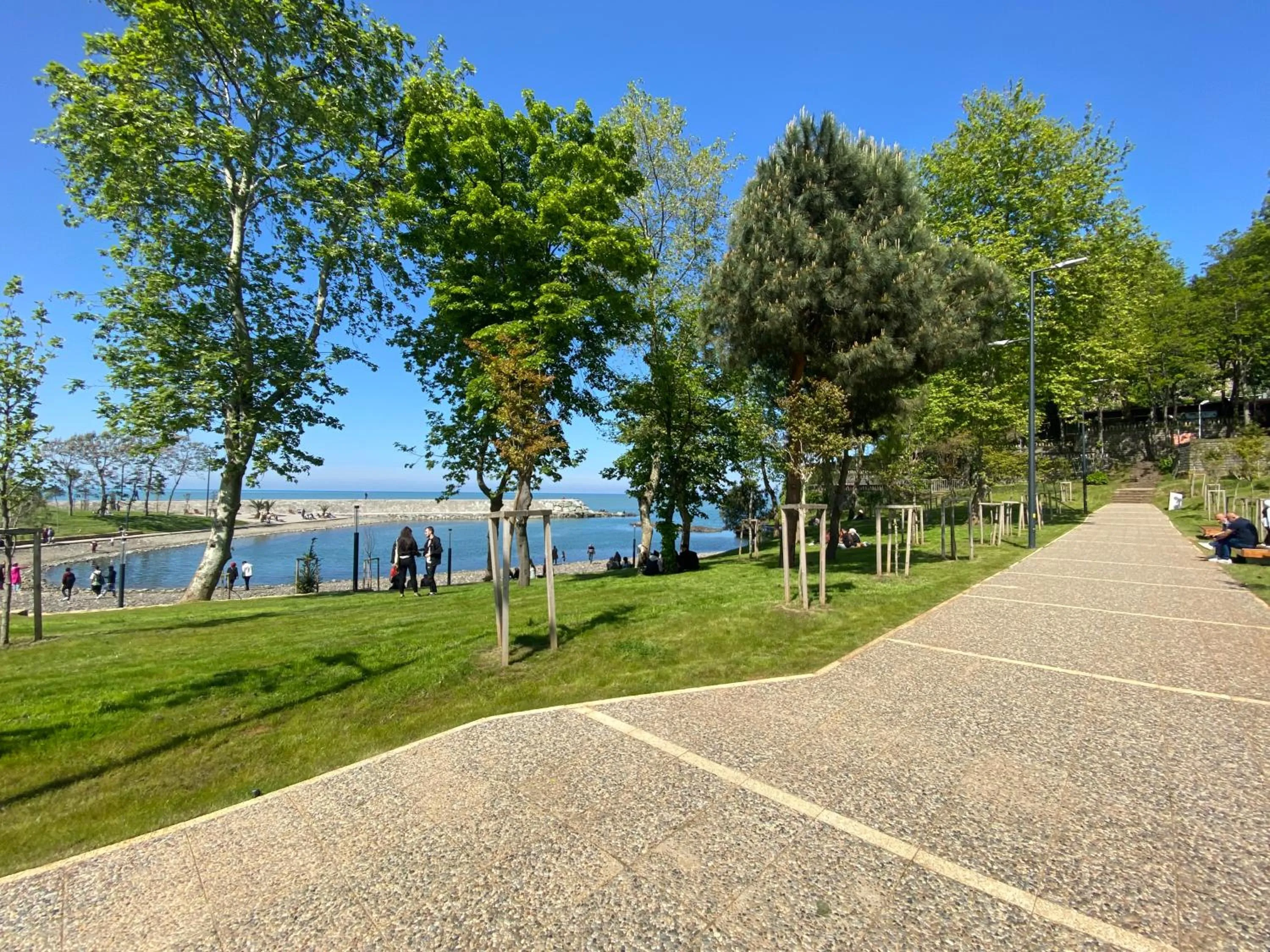 Billiard in The ALARGA