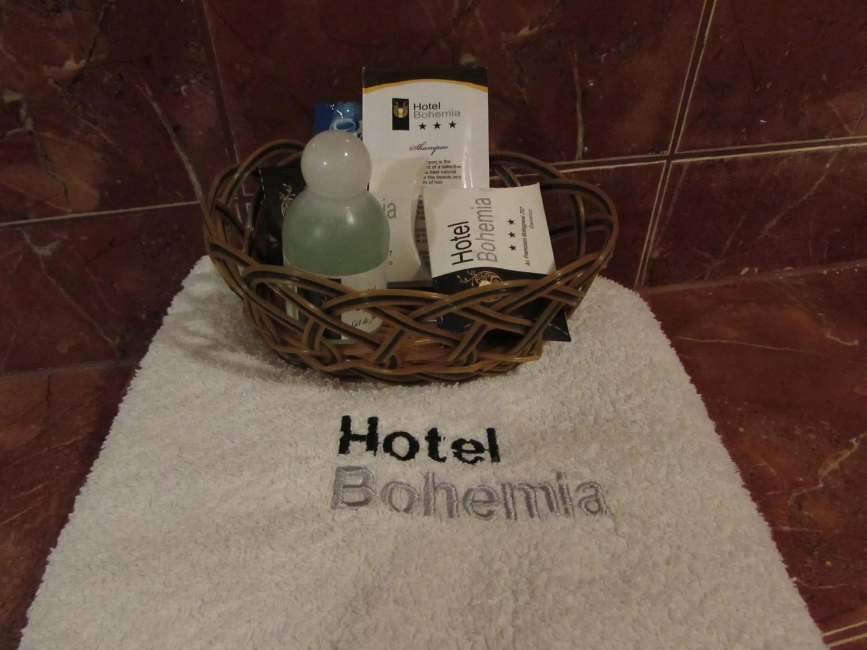 Toilet in Hotel Bohemia