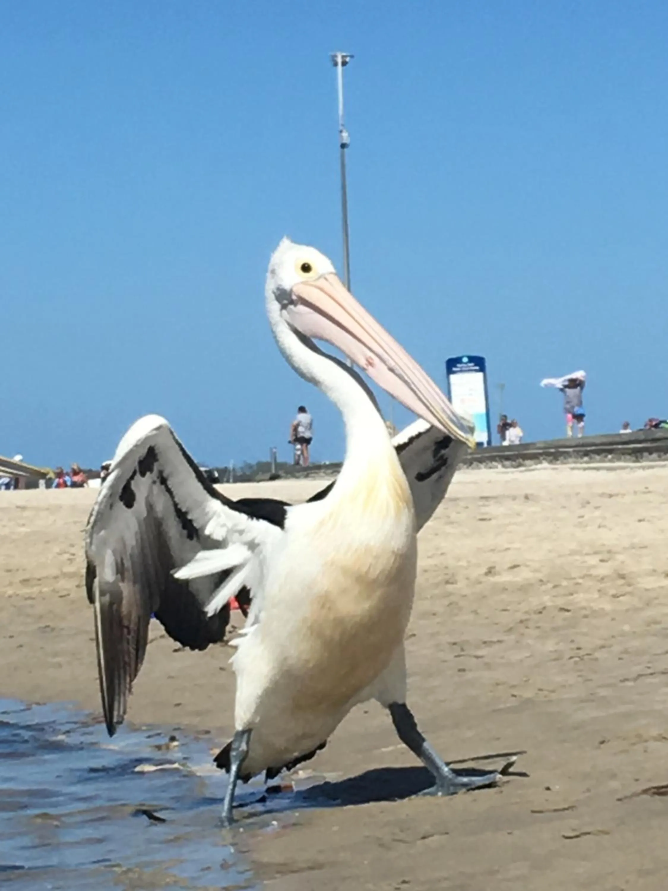 Beach in Blue Waters Apartments