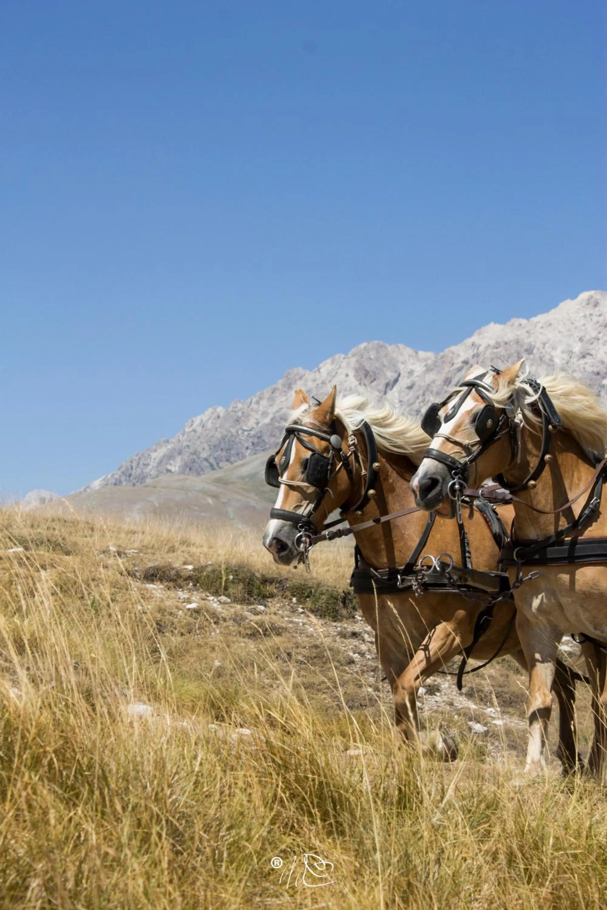 Horse-riding in Alloggio del Fiume - Le Vecchie Vasche