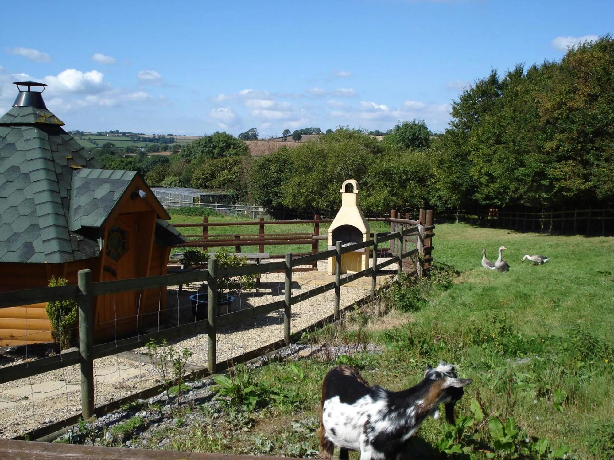 Animals in Greyfield Farm Cottages