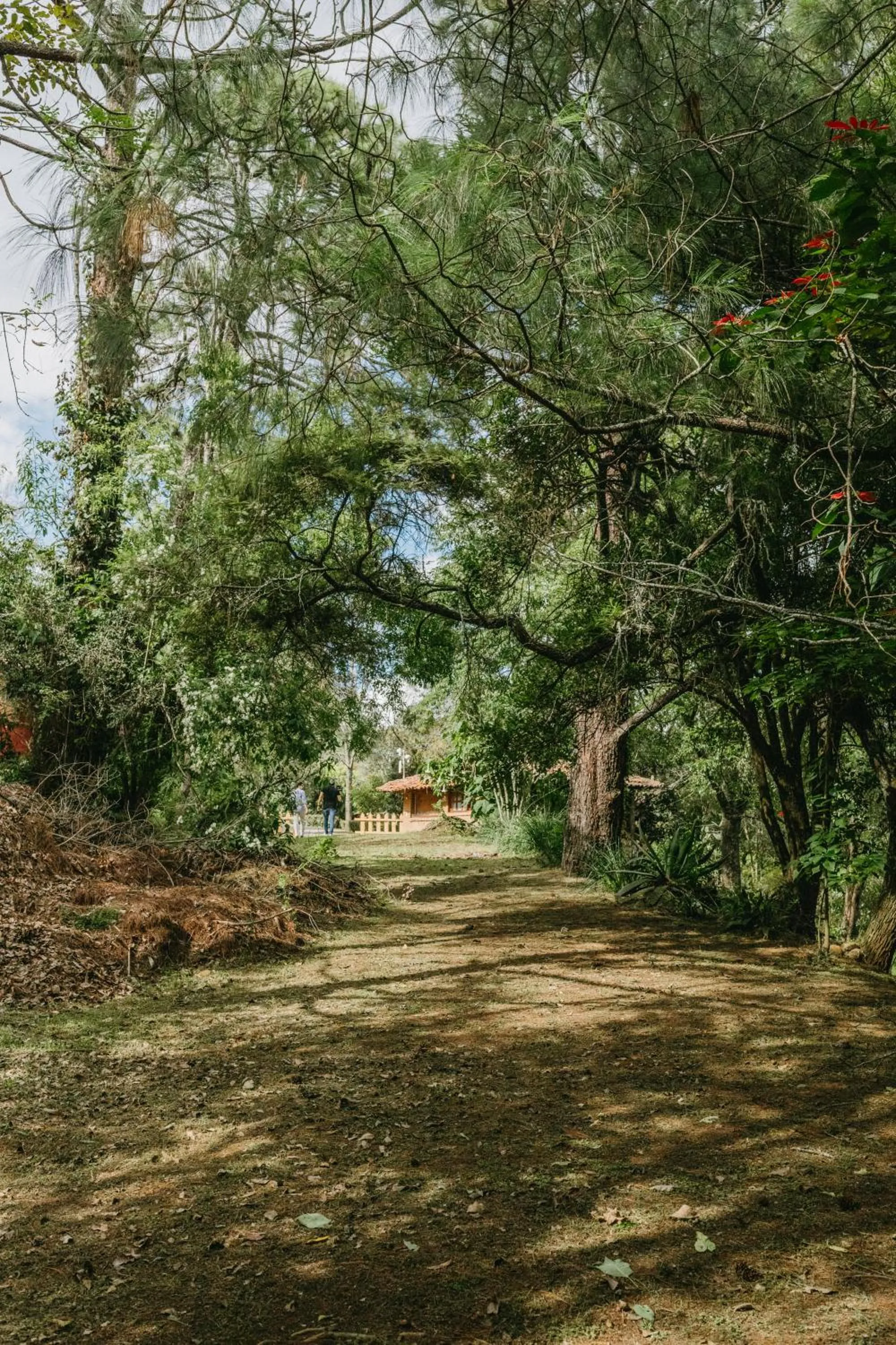 Off site in Tapalpa Country Club Hotel