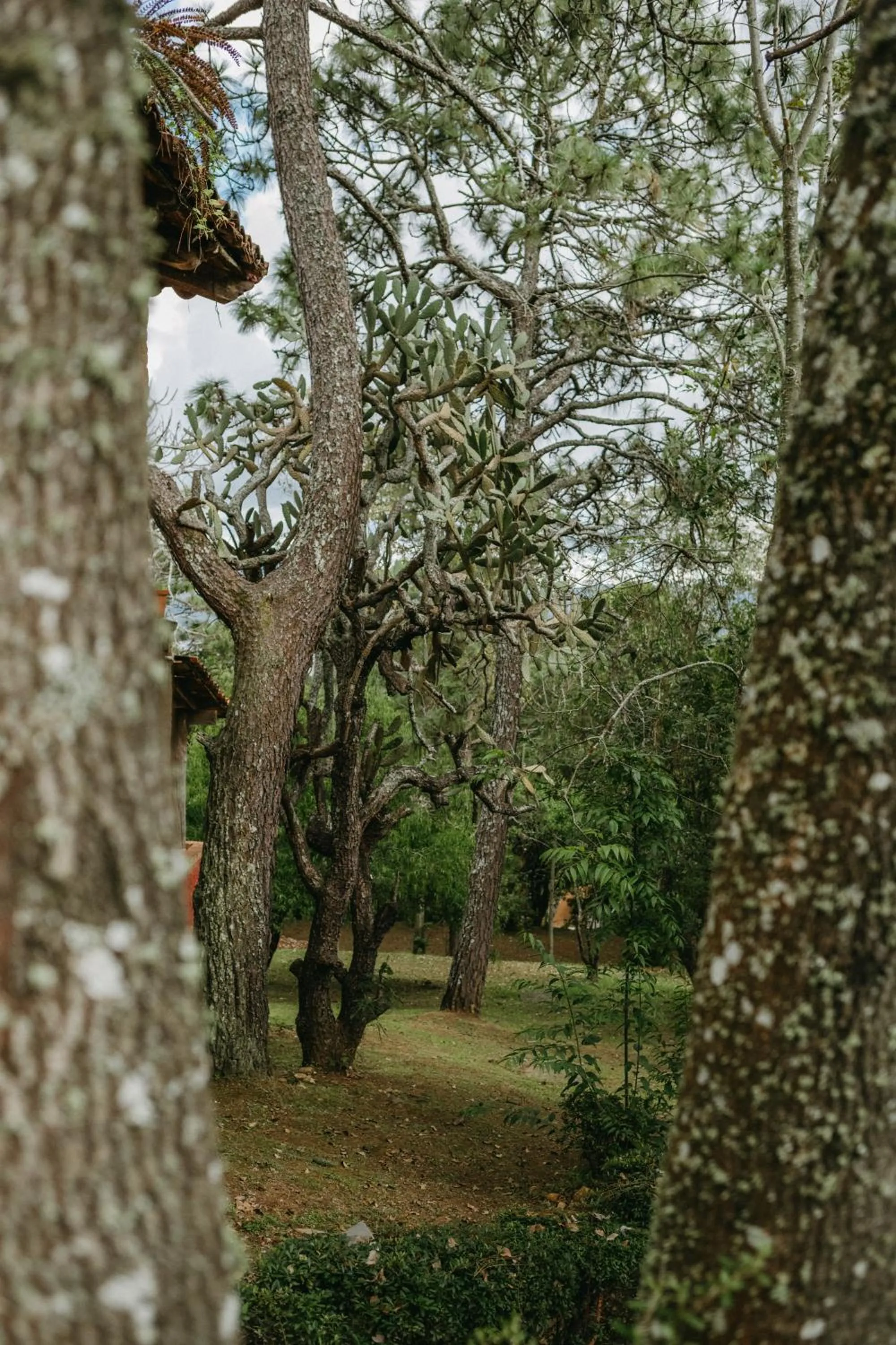 Off site in Tapalpa Country Club Hotel