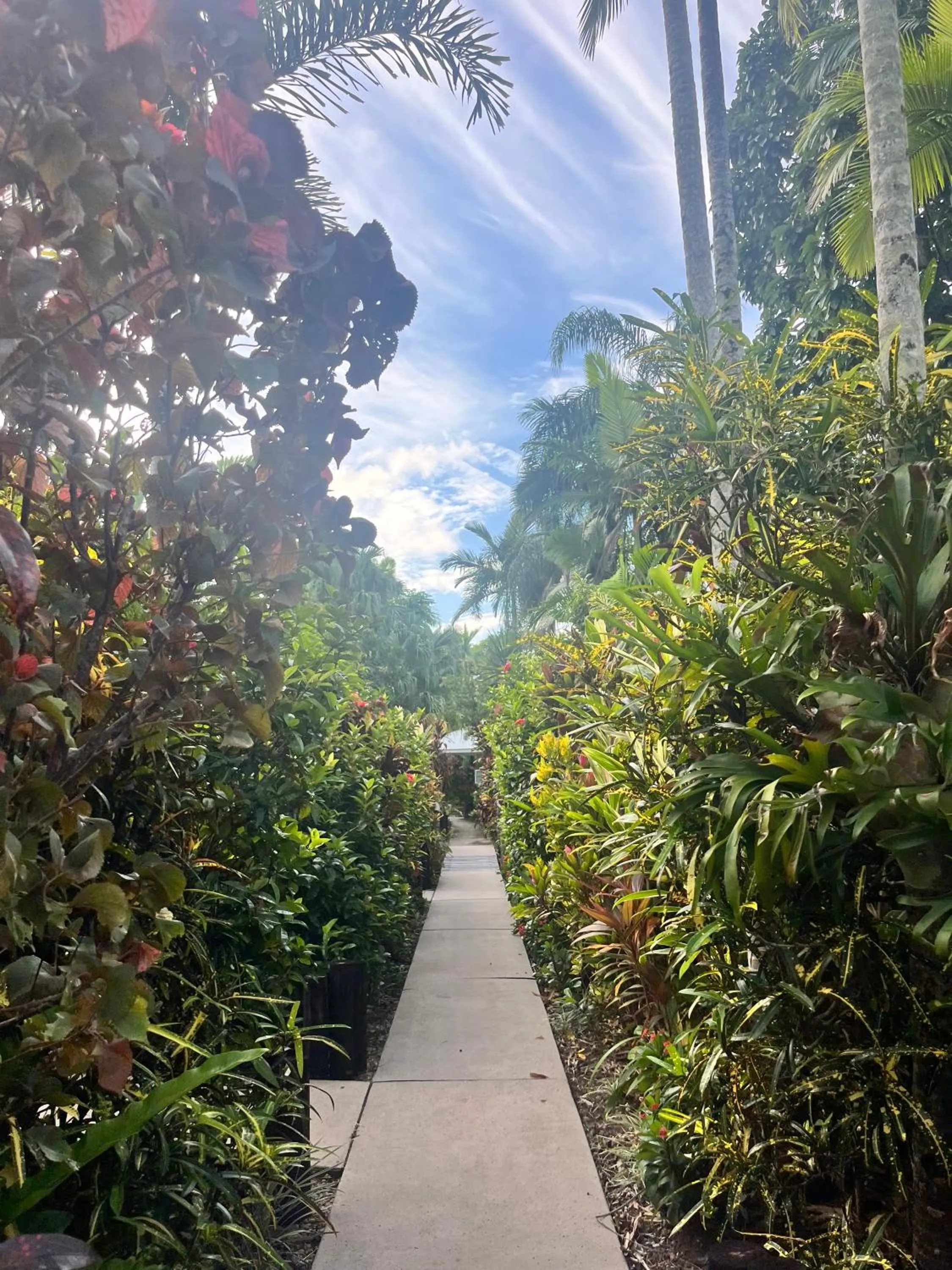 Garden in The Villas Palm Cove-PRIVATE POOL in each villa