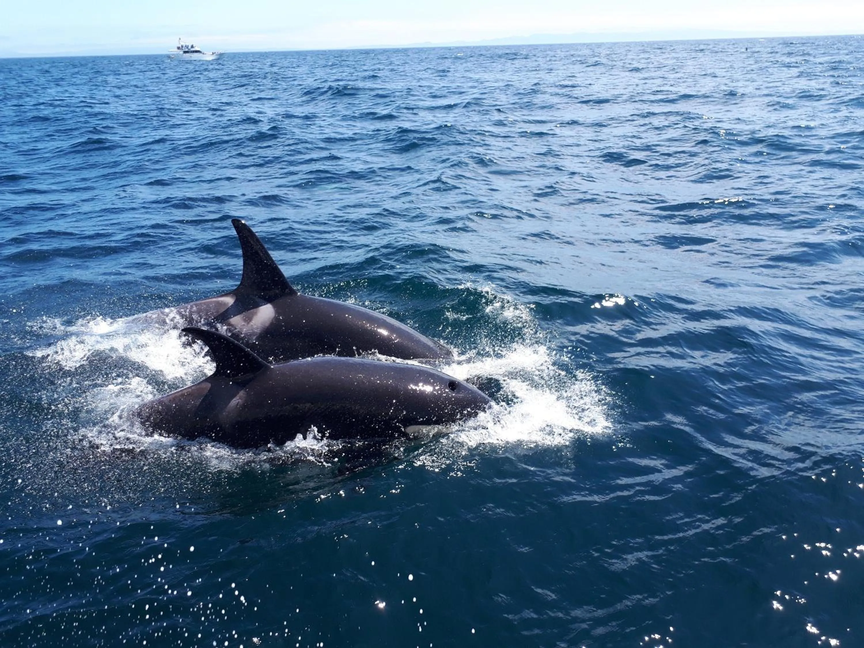 Natural landscape in Shiretokoserai