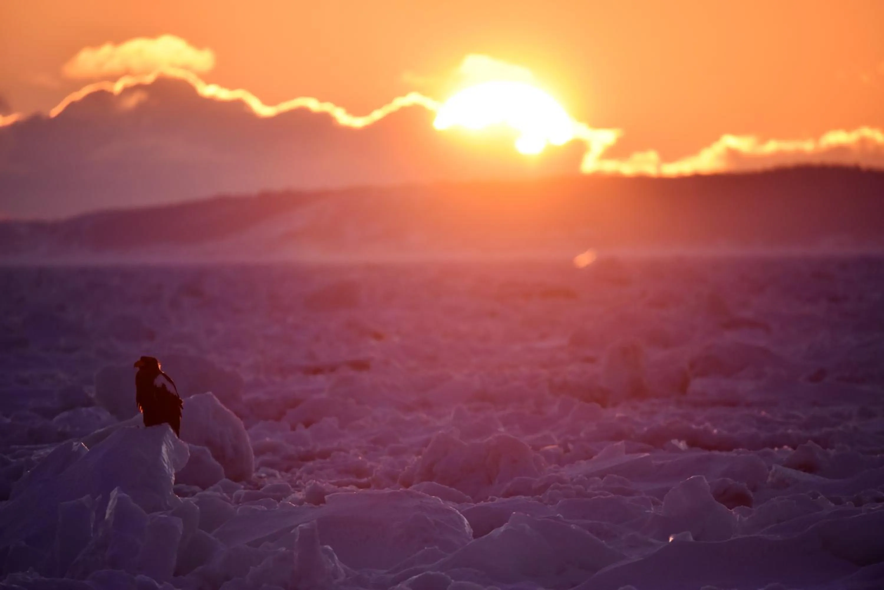 Winter in Shiretokoserai