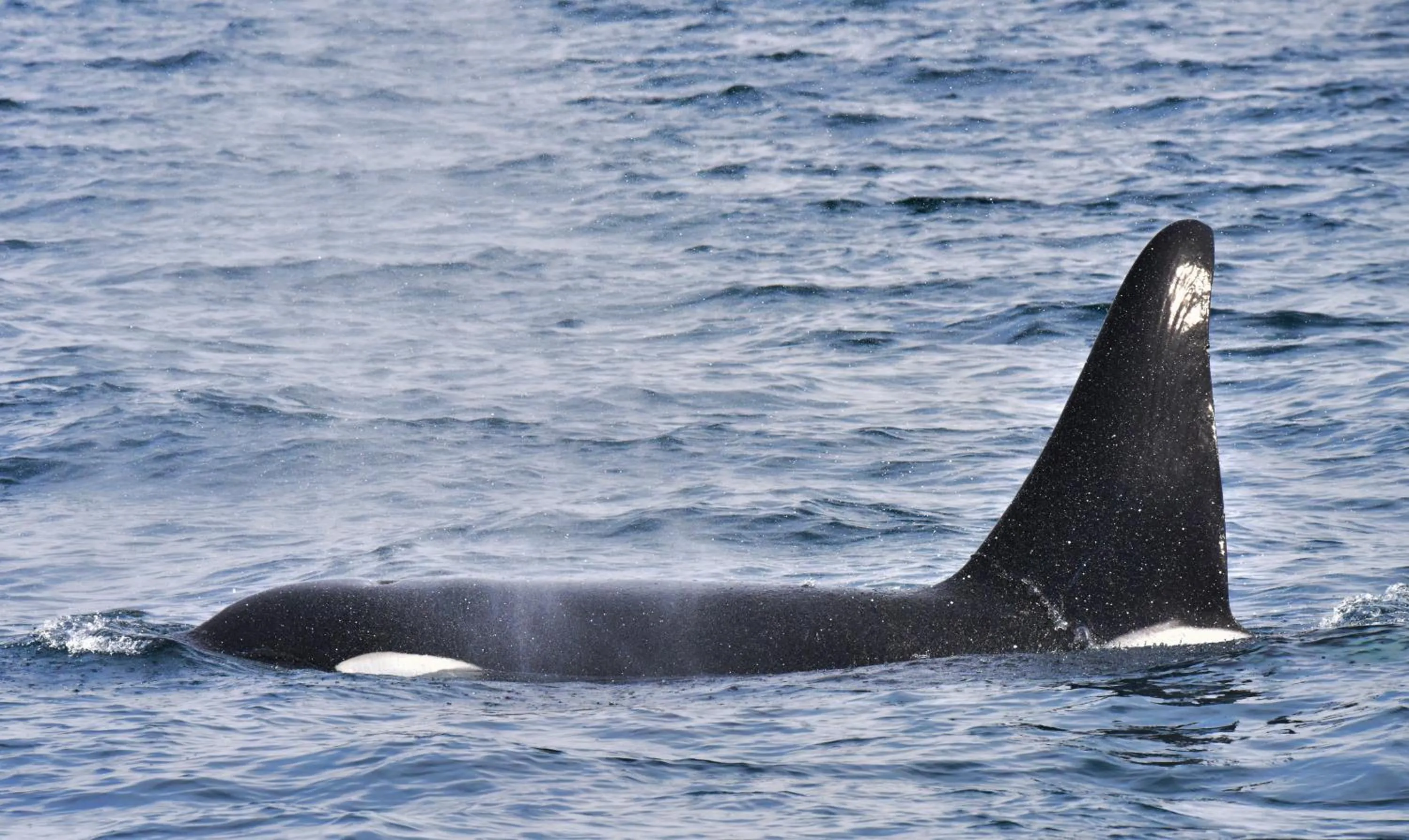 Natural landscape in Shiretokoserai