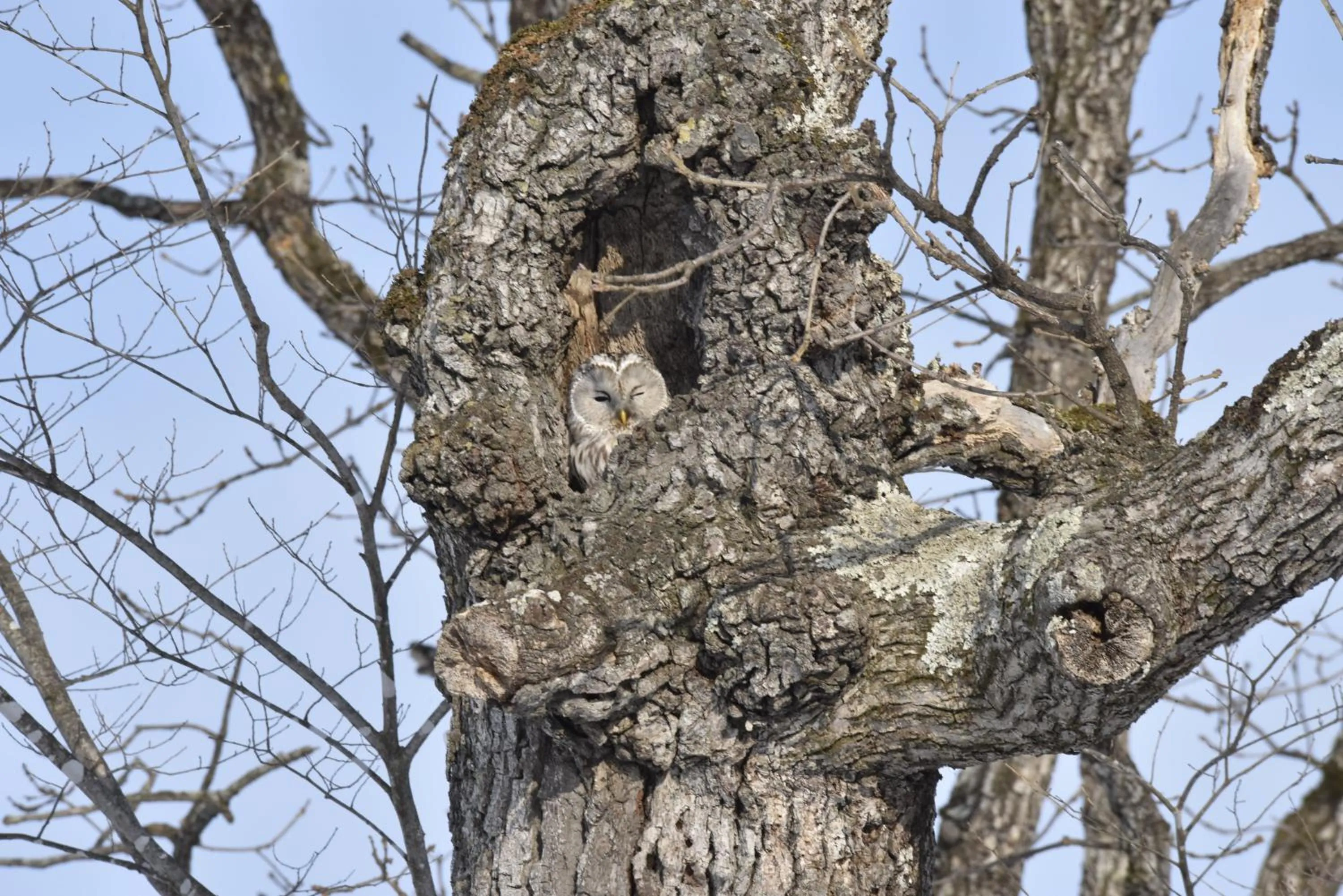 Natural landscape in Shiretokoserai
