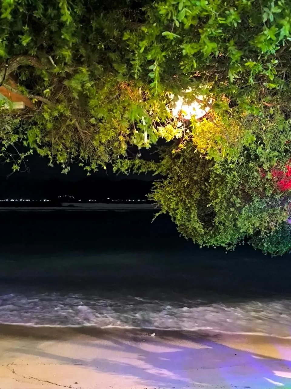 Beach in The Trawangan Resort