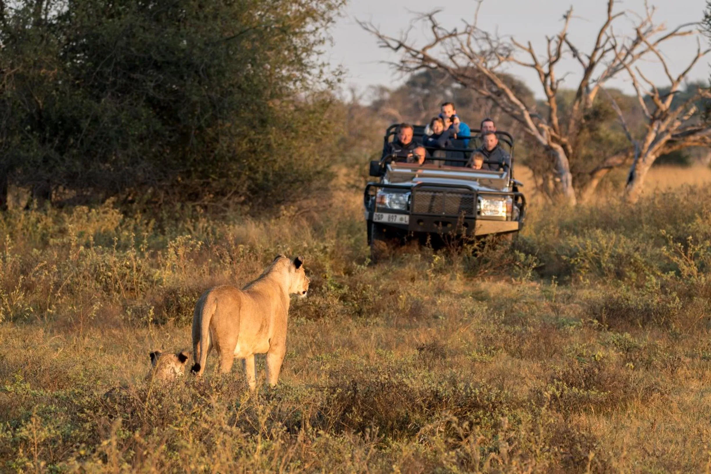 Marataba Mountain Lodge