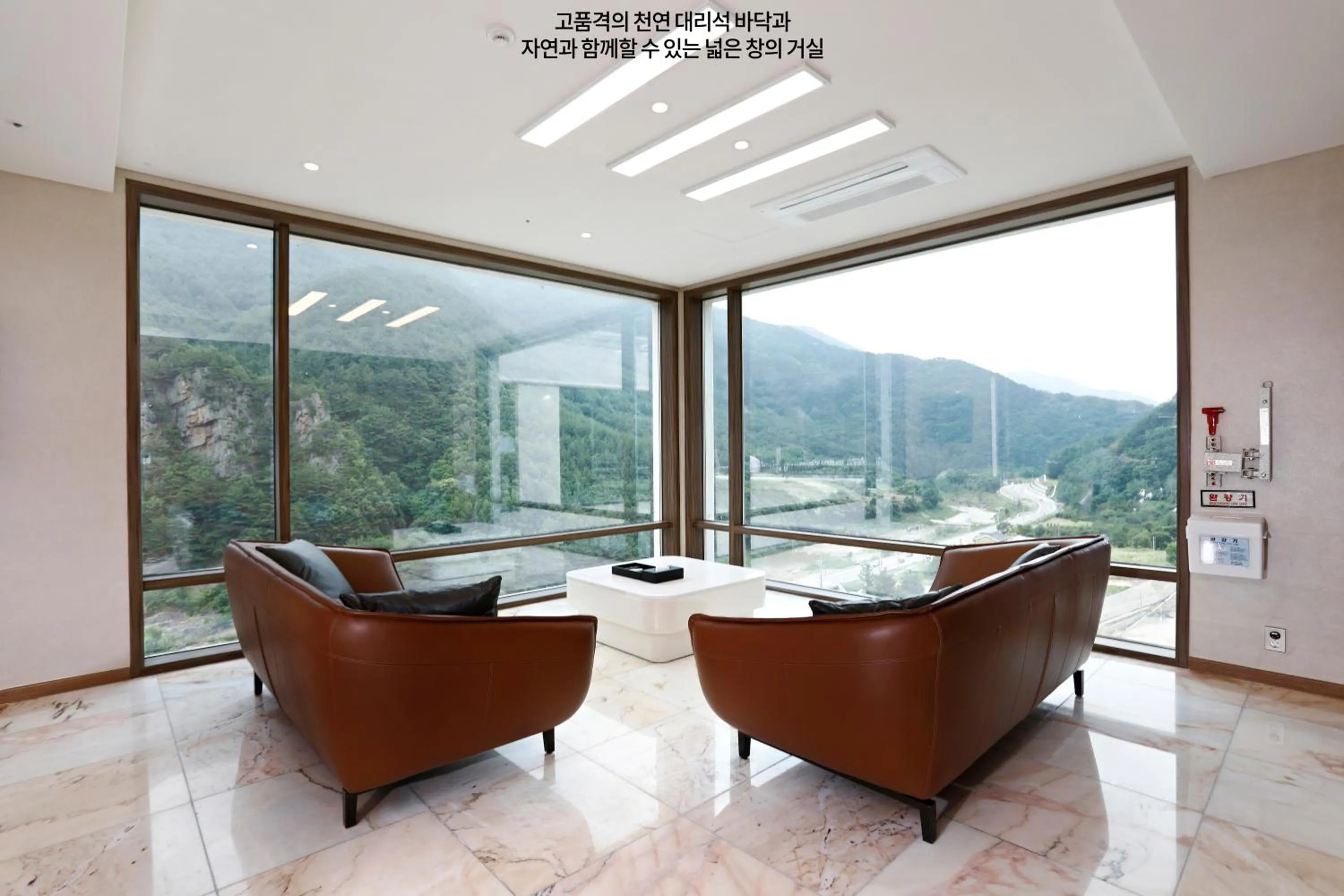 Pine Forest Jeongseon Alpine Resort