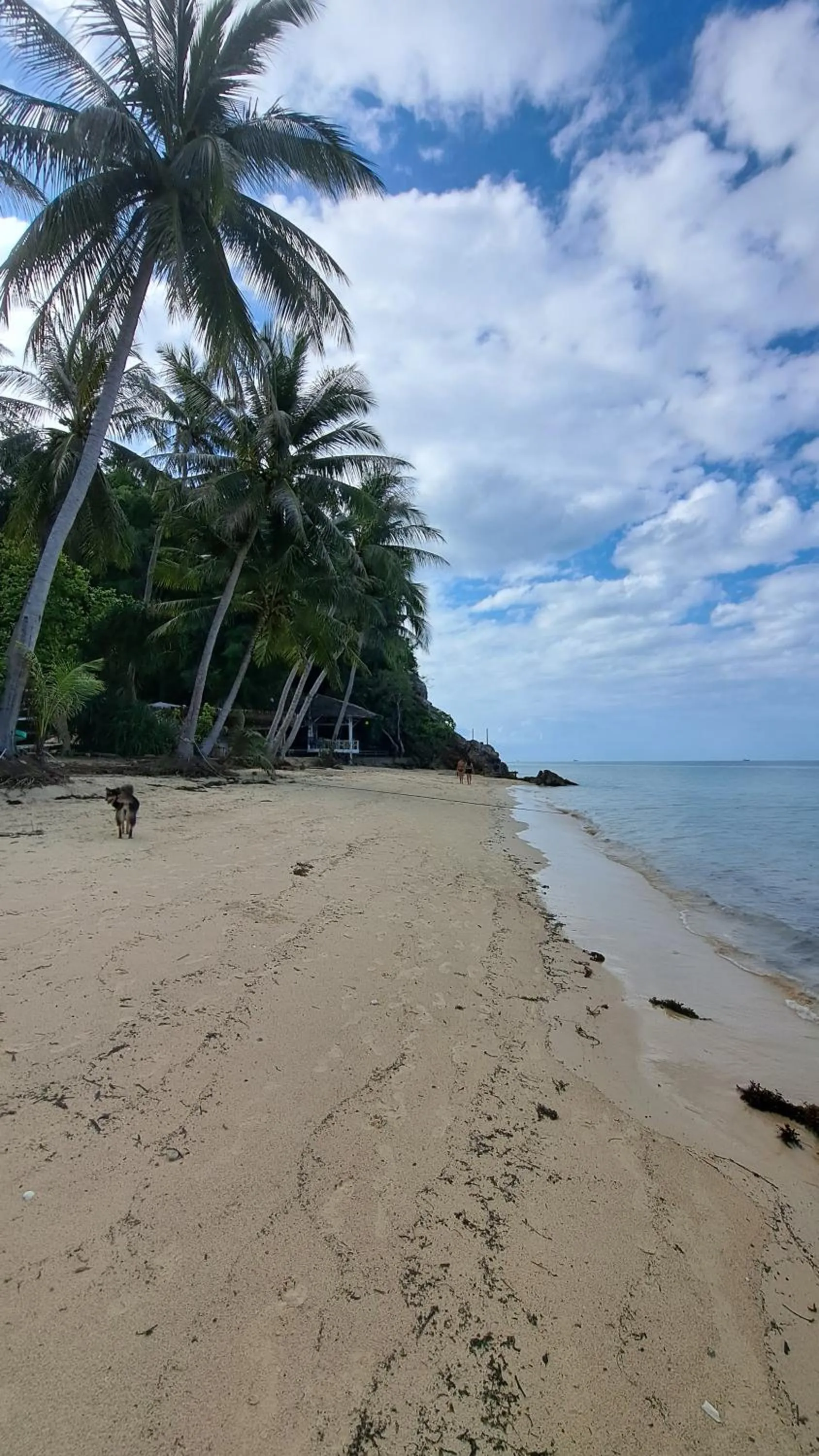 Beach in Phangan Paragon Resort & Spa by Pure Lifestyle