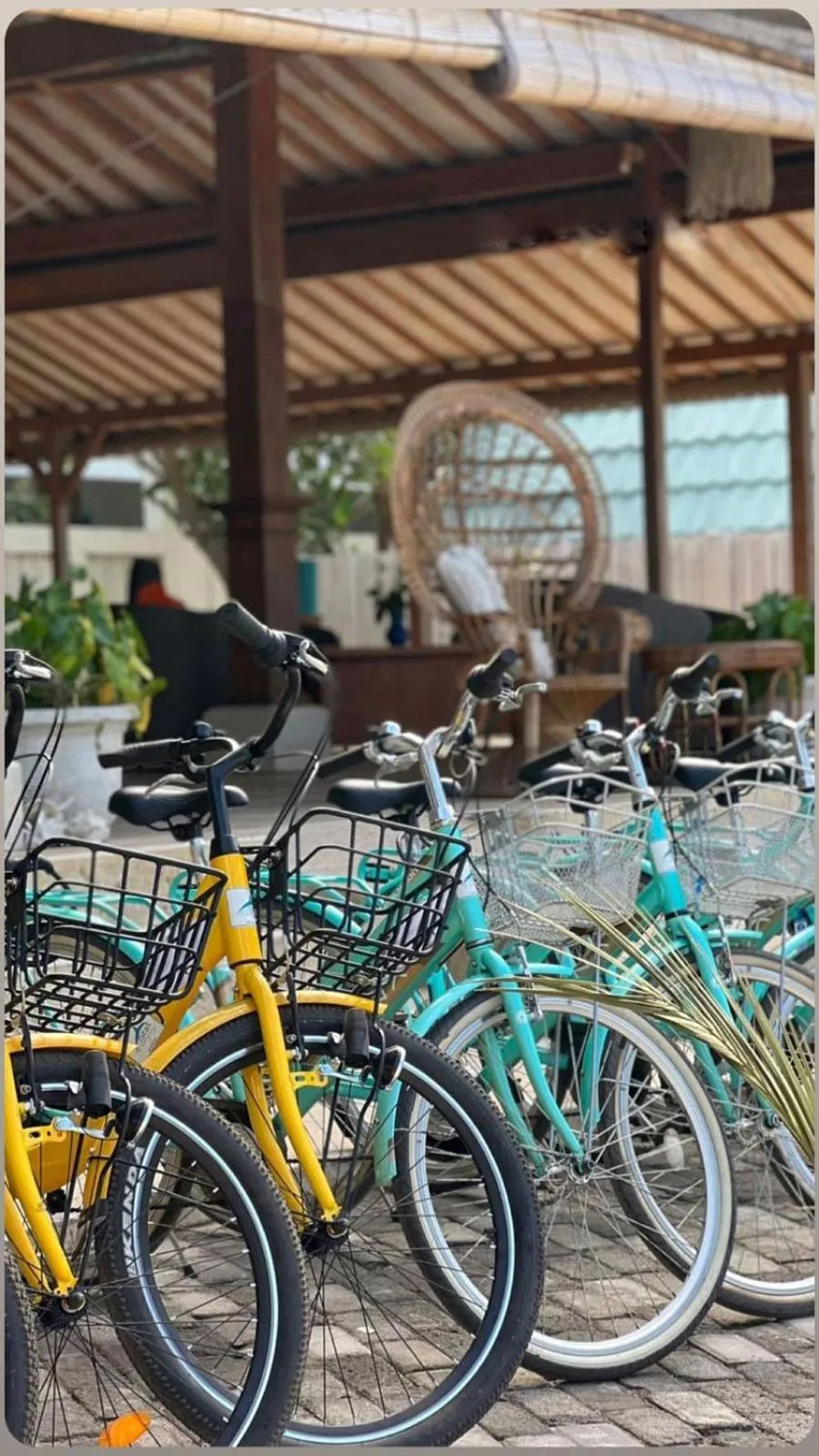 Cycling in 7SEAS Cottages