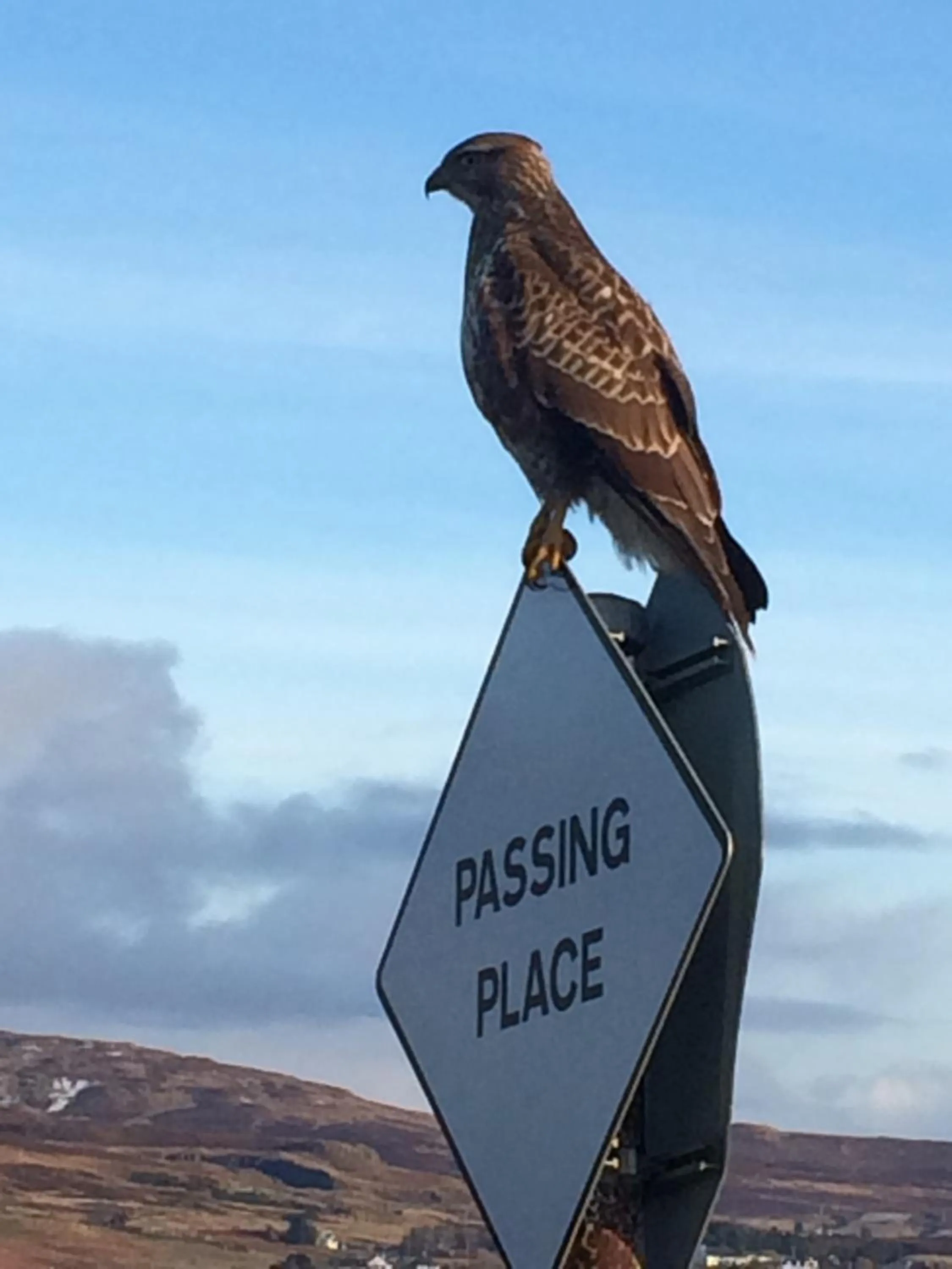 Neighbourhood in Glendale View