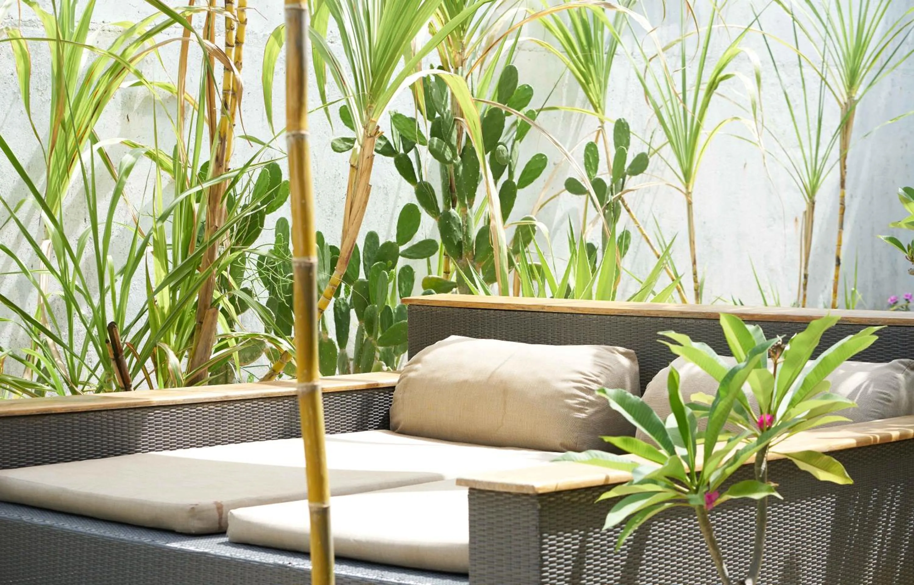 Garden in ISLA INDAH RETREAT boutique hotel