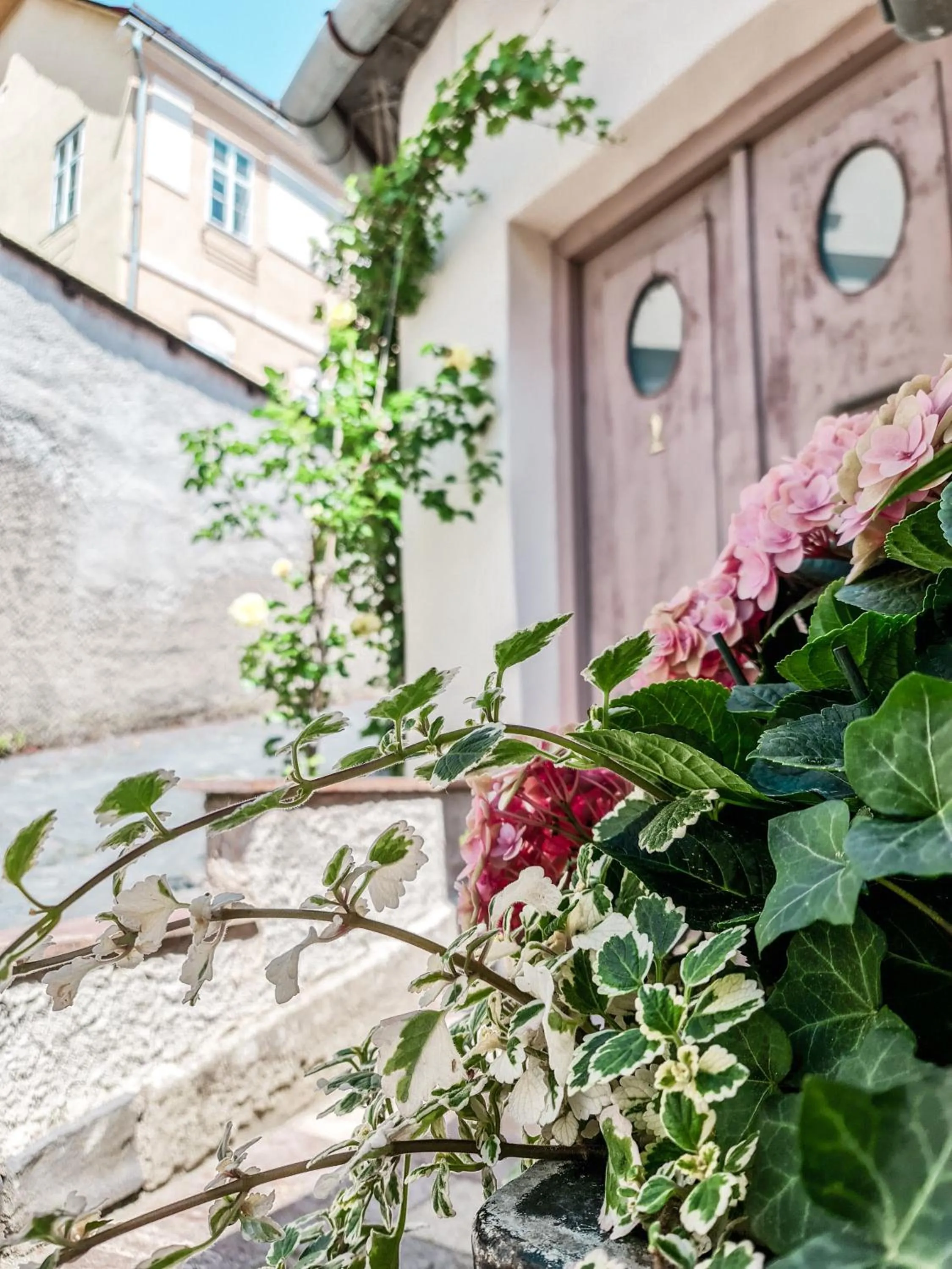 Garden in Divná pani Luxury Gallery Rooms