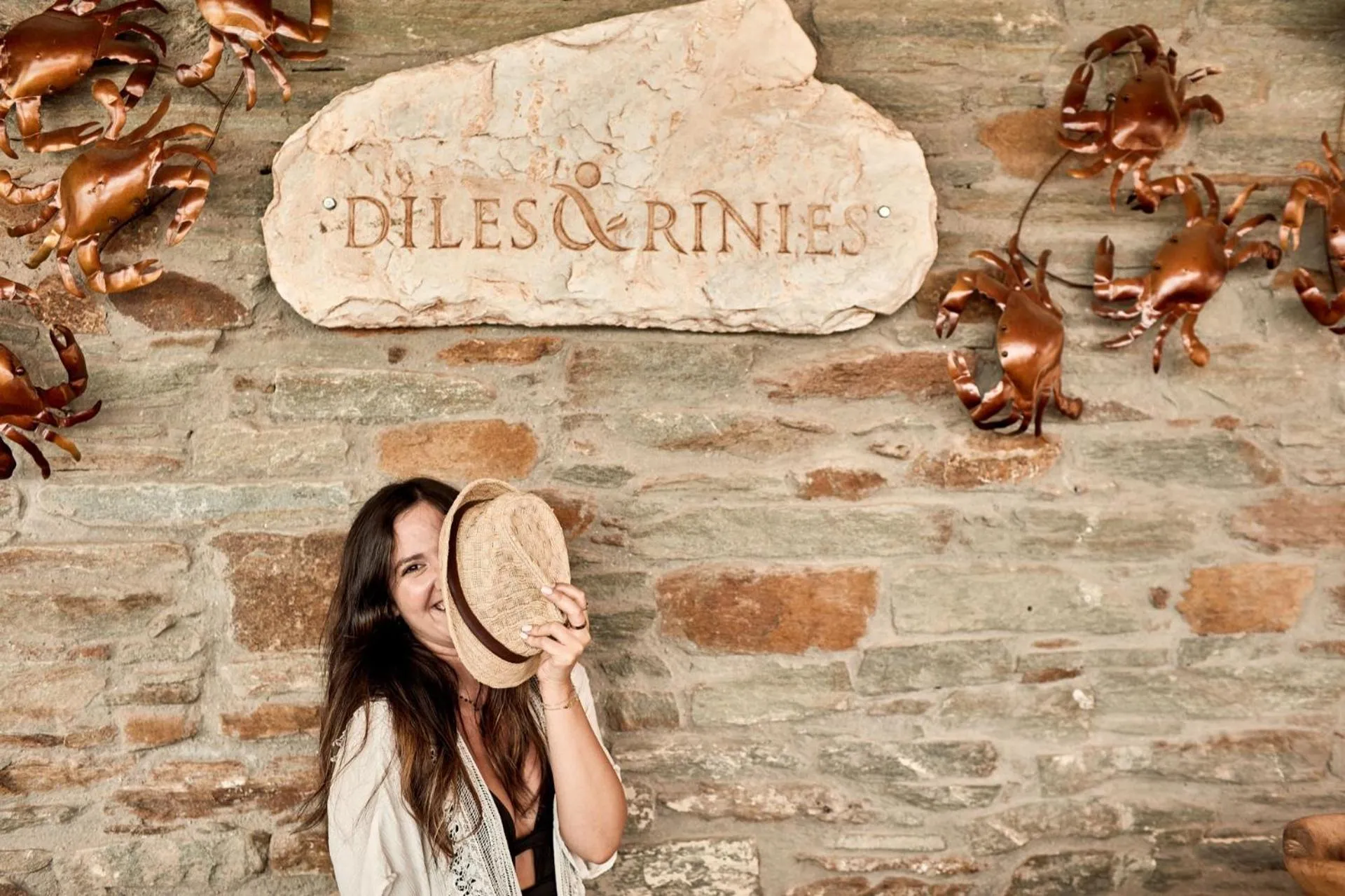 Property logo or sign in Diles & Rinies