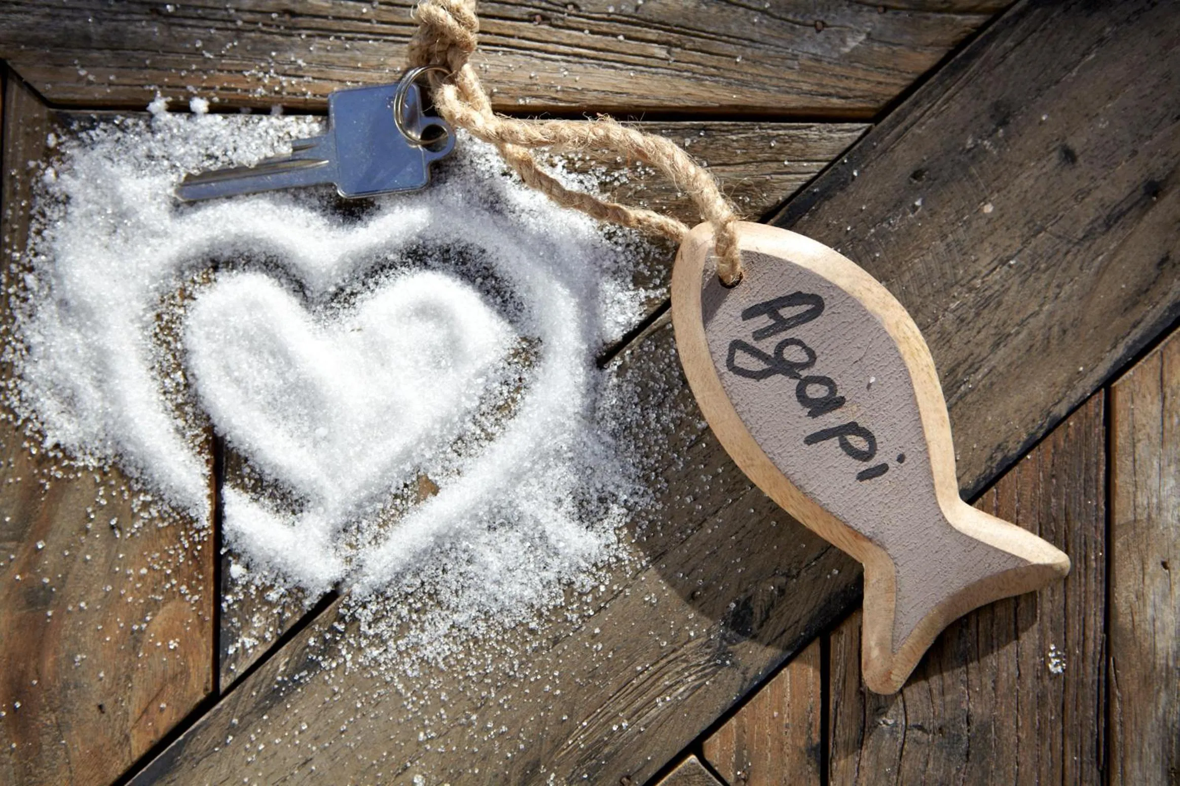 Property logo or sign in Diles & Rinies