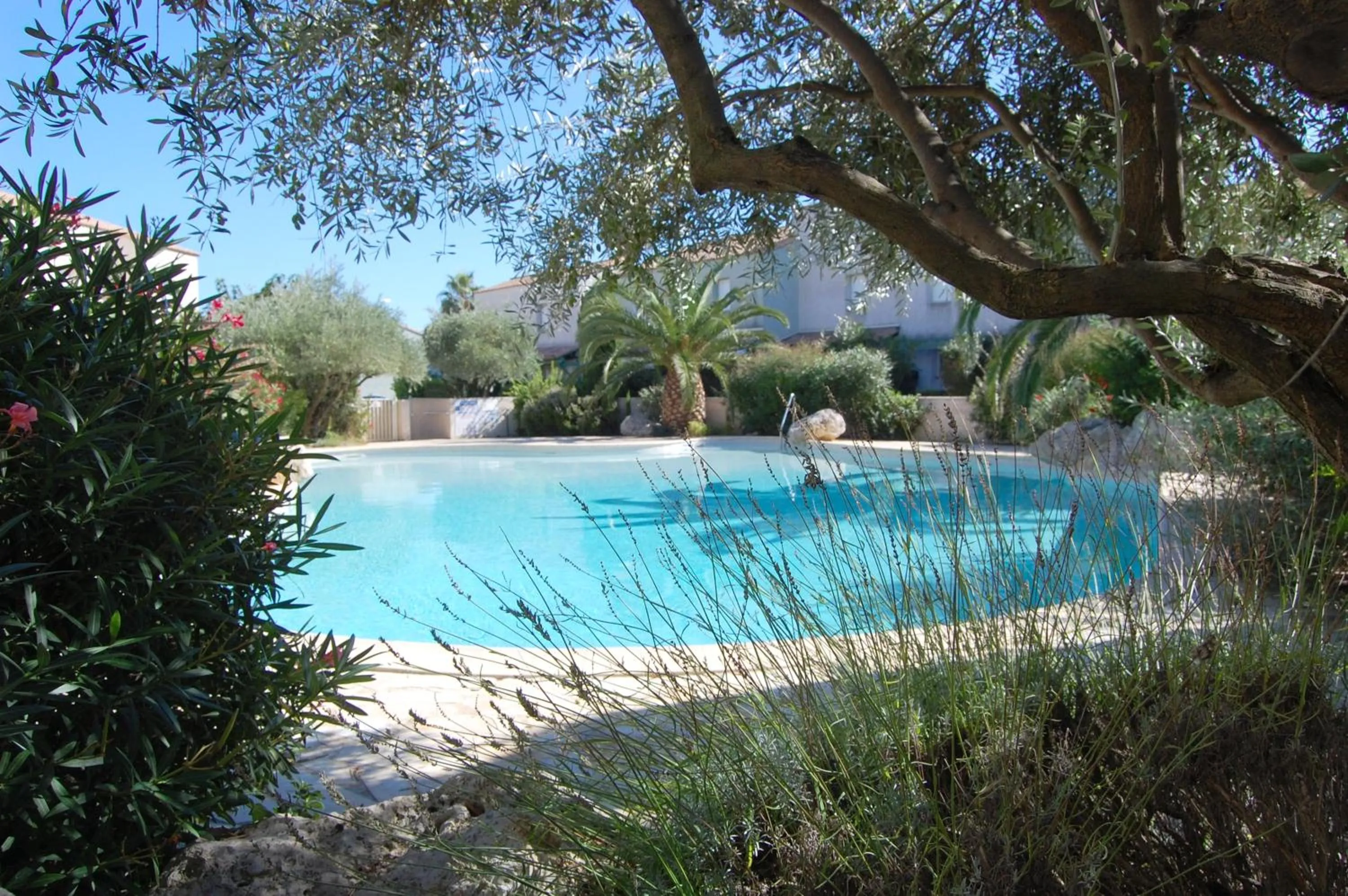 Pool view in Appartement cosy à Valras-Plage / 48m² / Piscine partagée