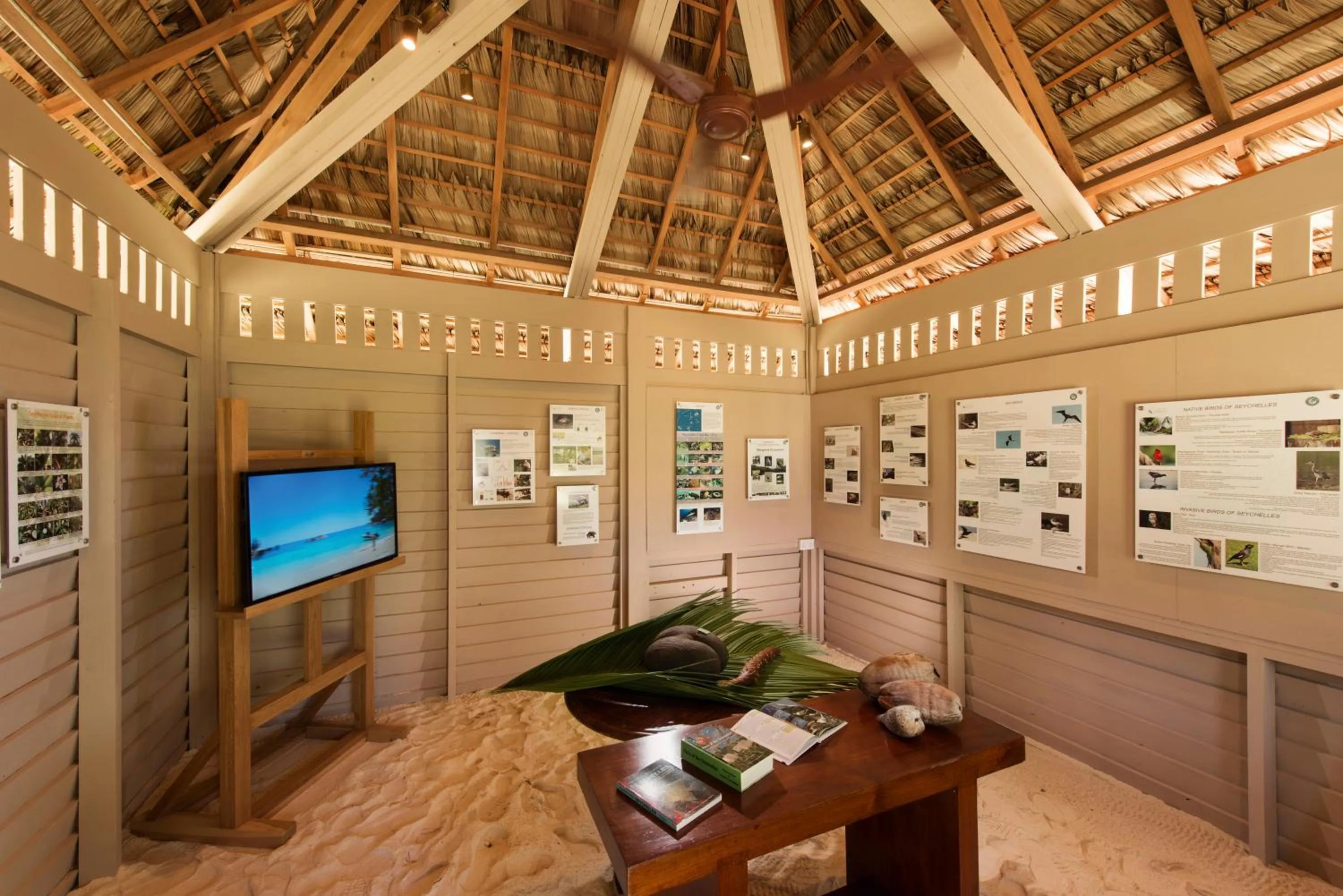 Activities in Constance Lemuria