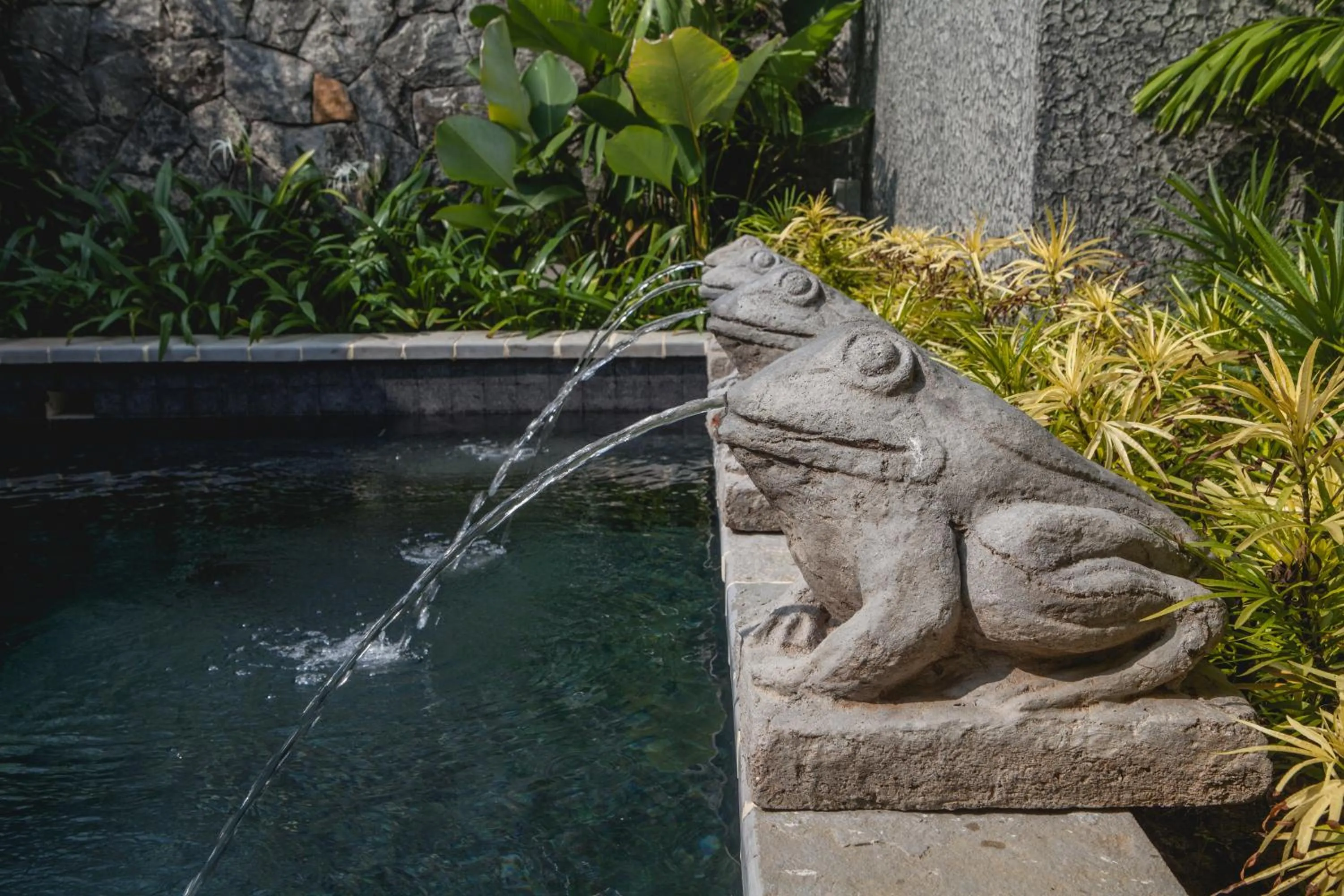 Swimming pool in 976 Panangad