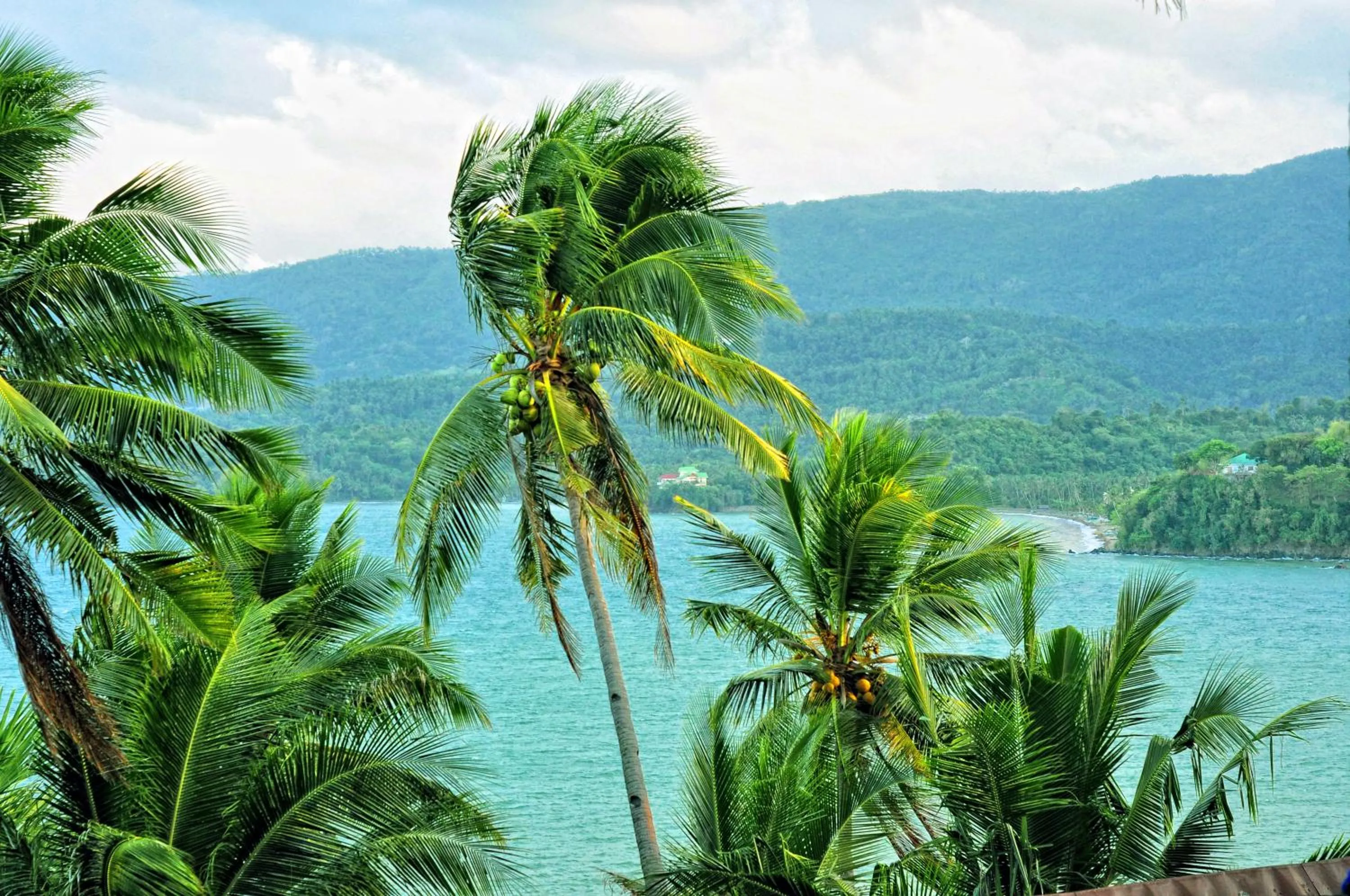 Day in Villa de Pico Highland Beach Resort