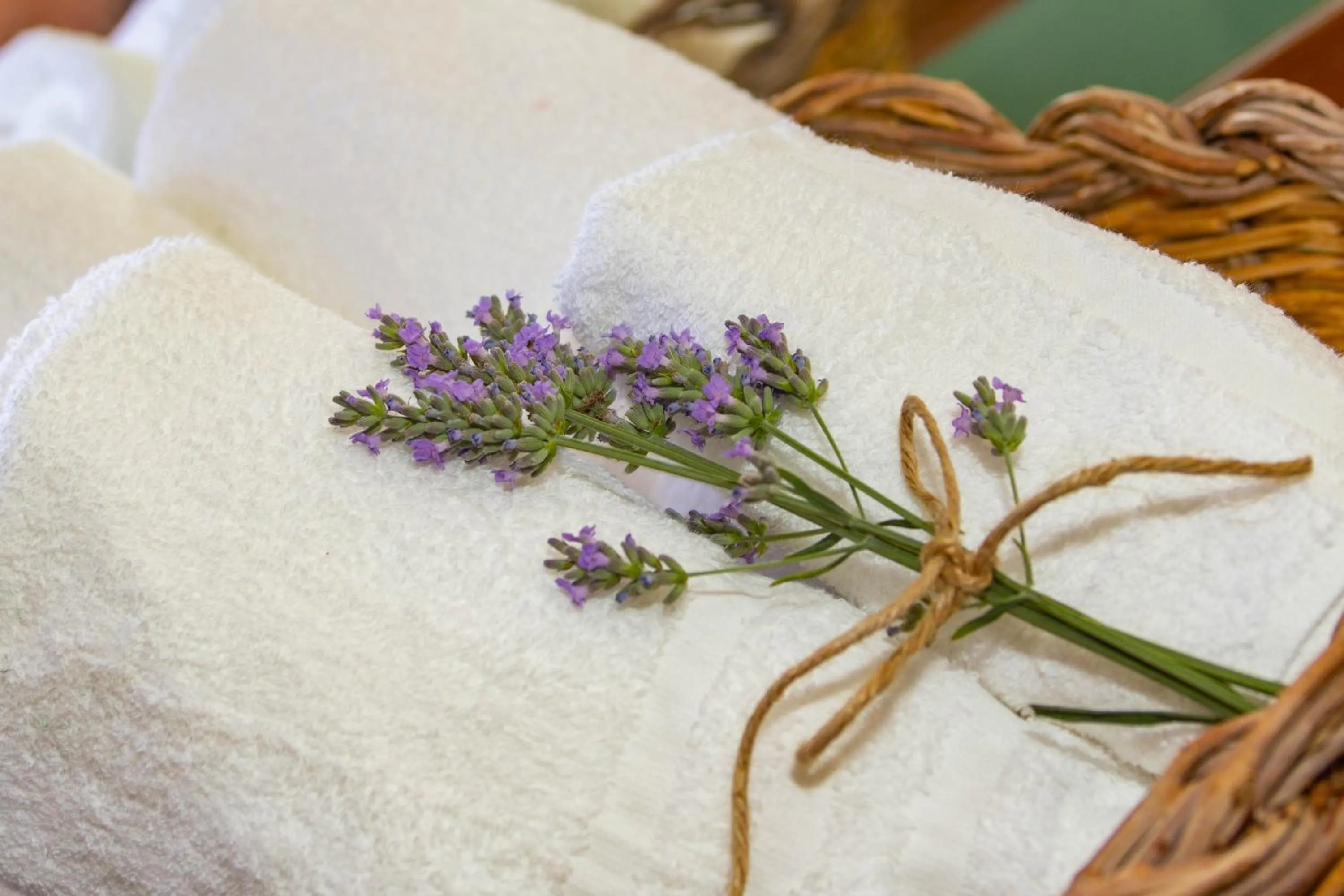 Decorative detail in La bicicletta Rossa B&B