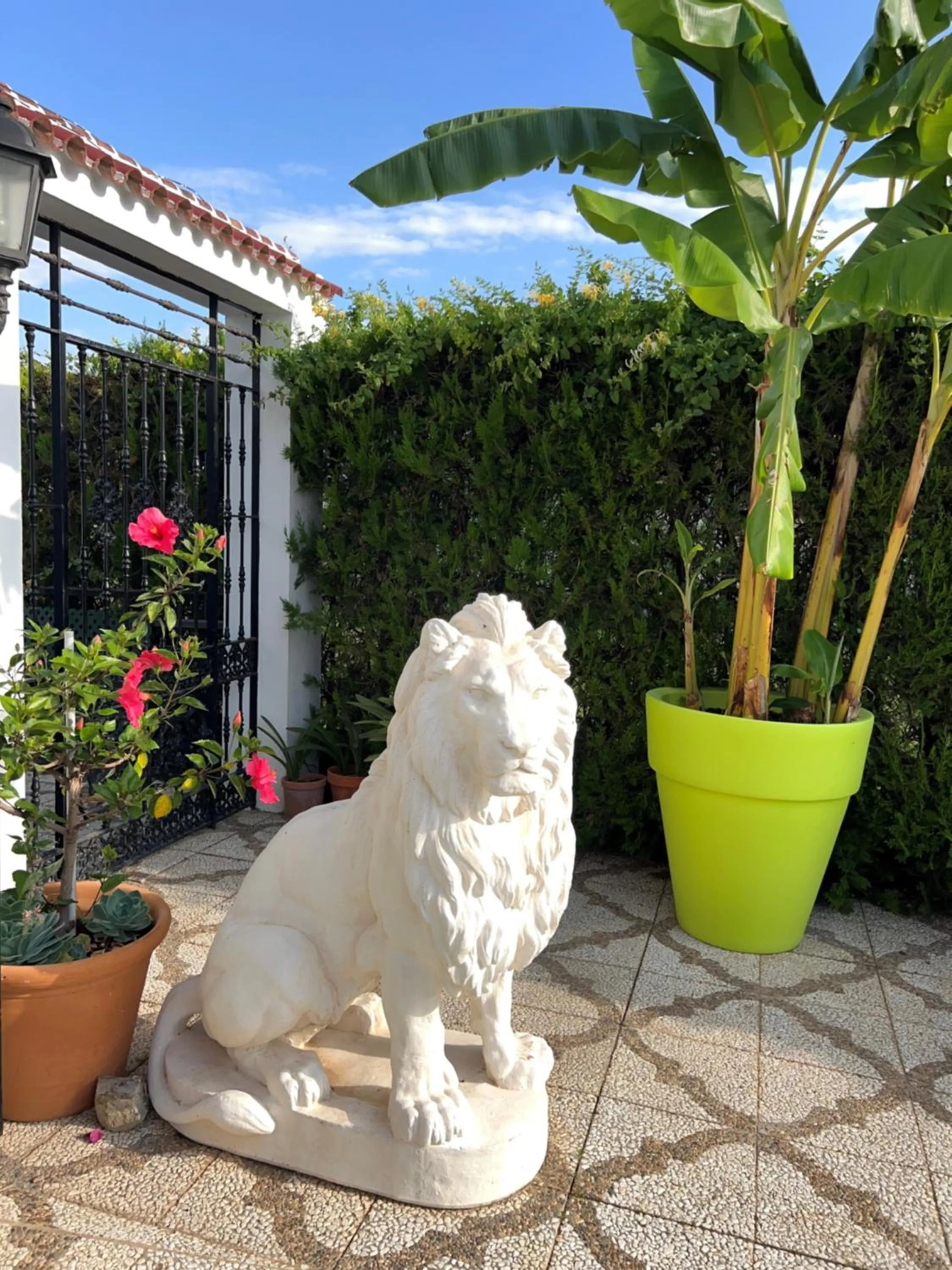 Property building in Hotel Matalascañas