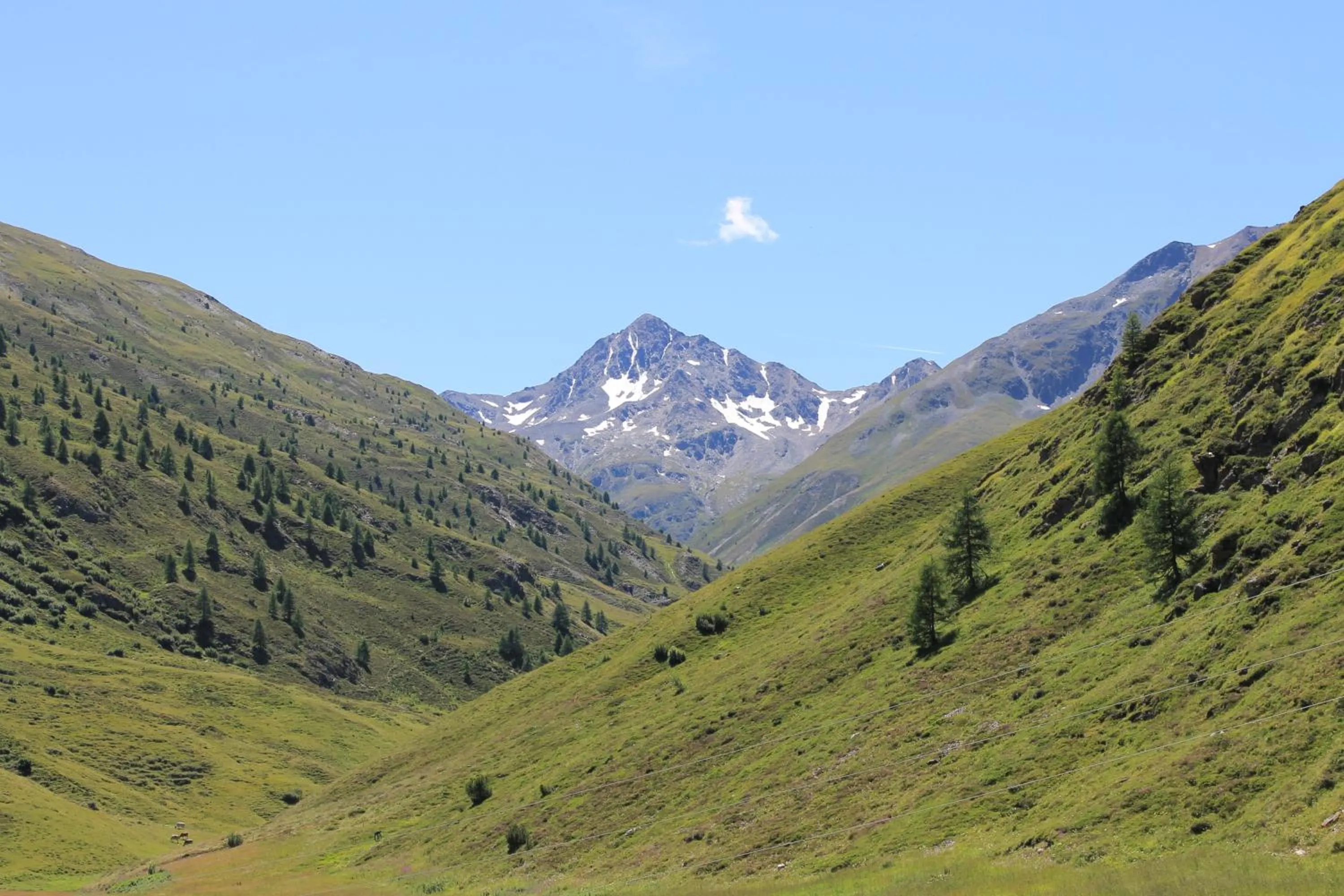 Other in Hotel La Colombina