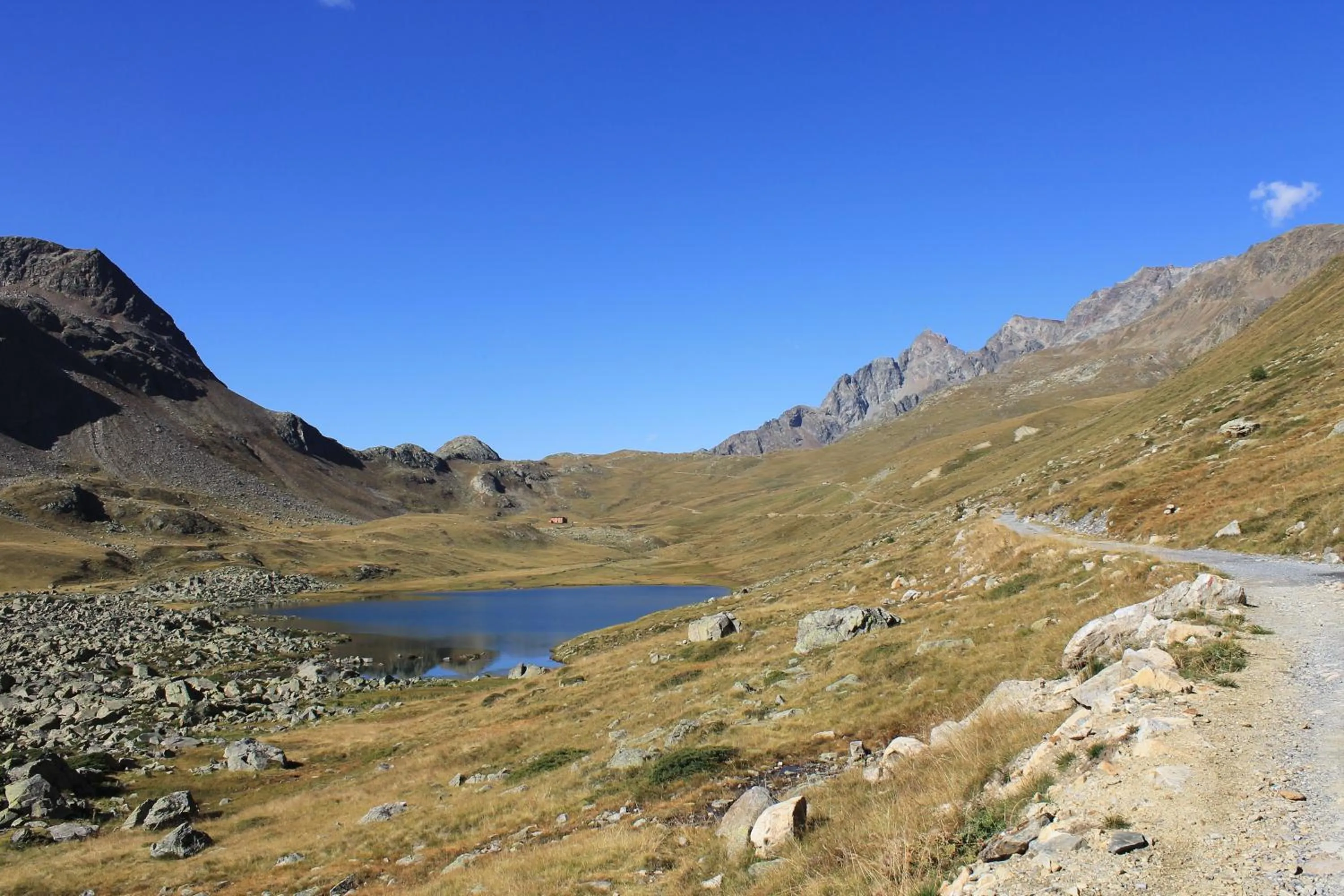 Other in Hotel La Colombina