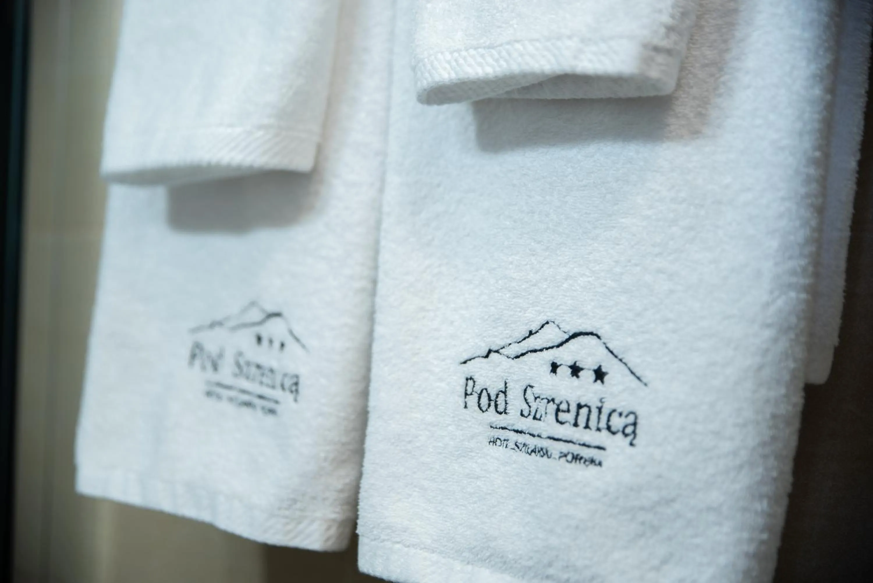 Property logo or sign in Hotel Pod Szrenicą