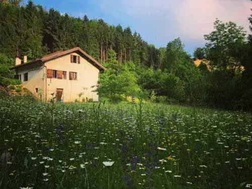 Alla Casetta B&B Alla Casetta B&B