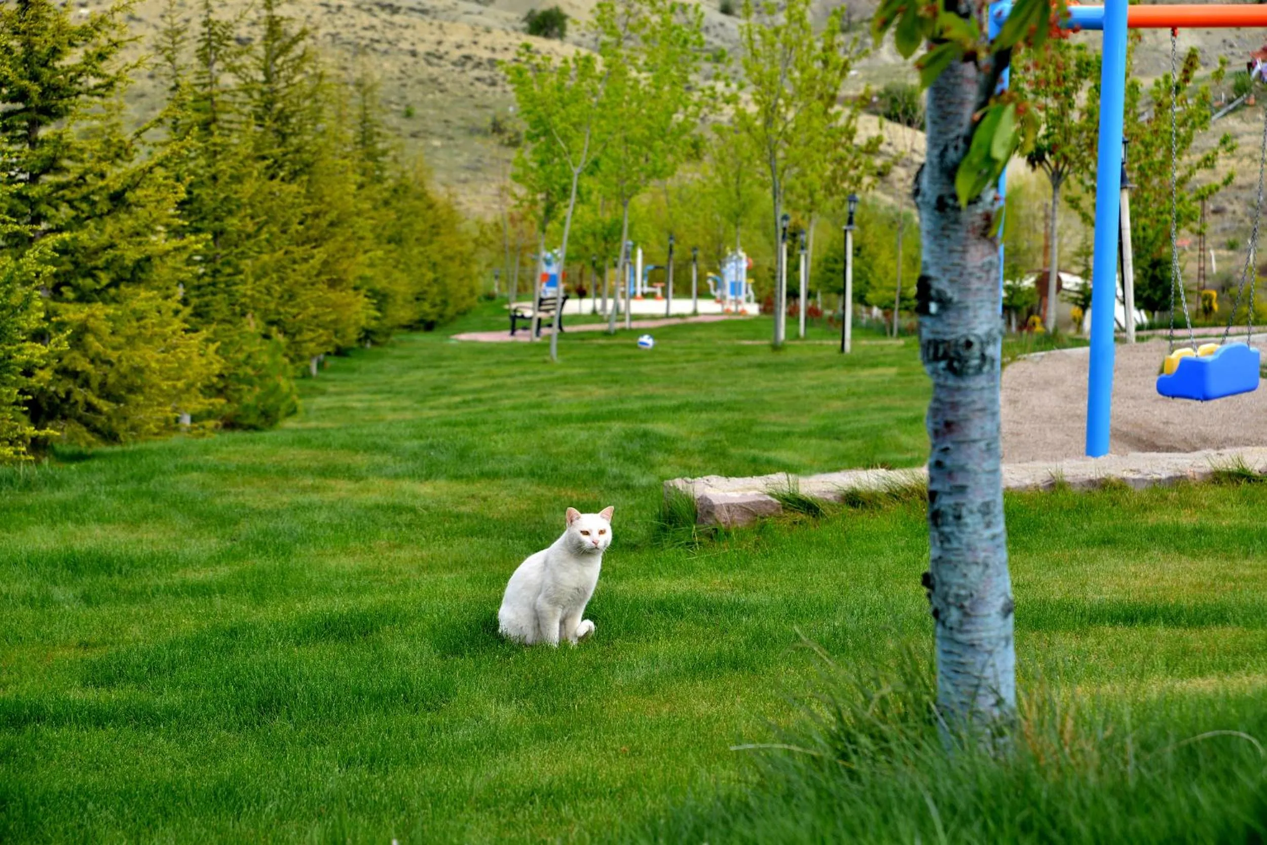 Facade/entrance in Doc's Thermal Hotel Wellness & Detox Spa