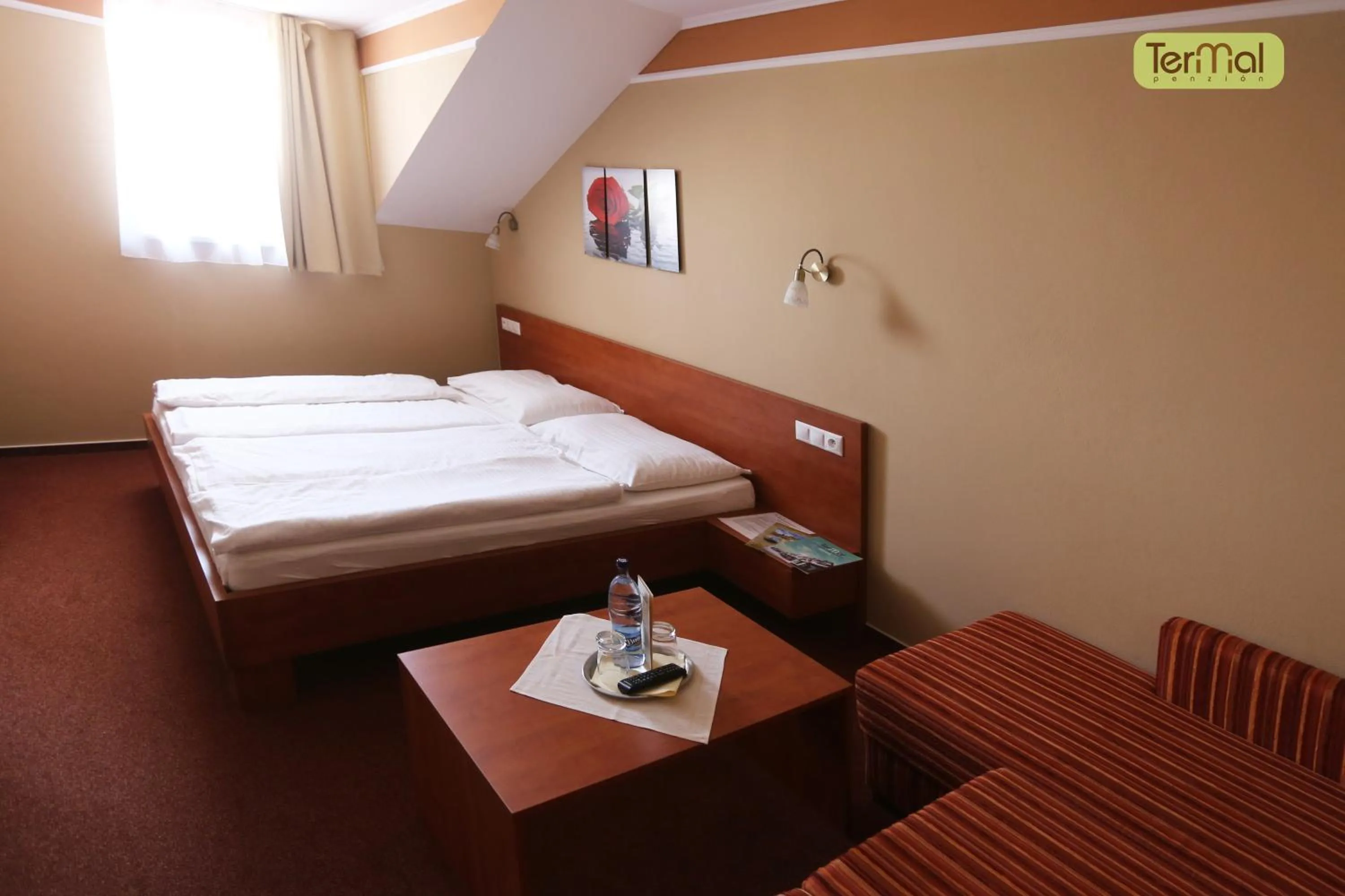 Premium Double Room with Balcony in Penzion Termal