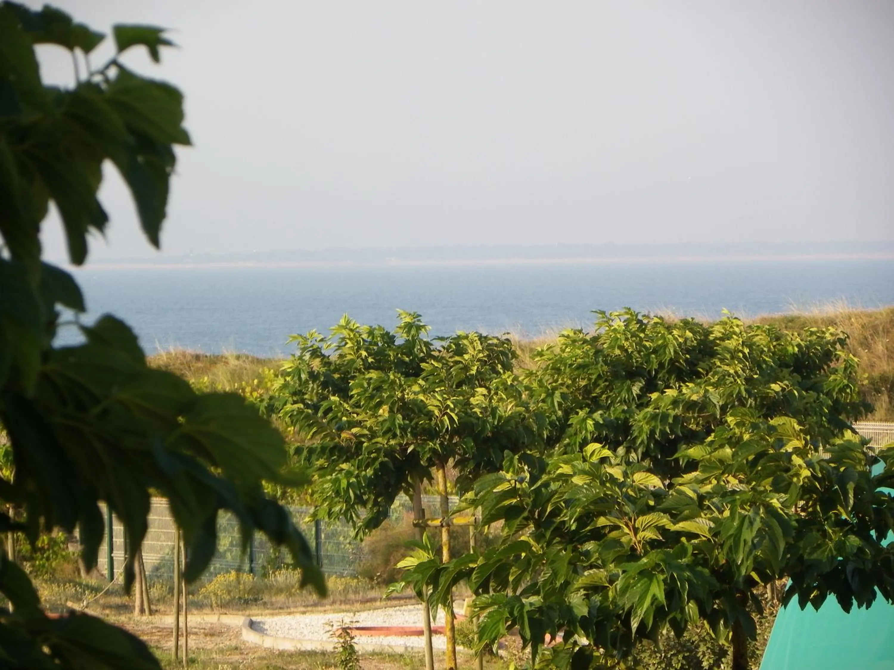 Day in Au Petit Bonheur