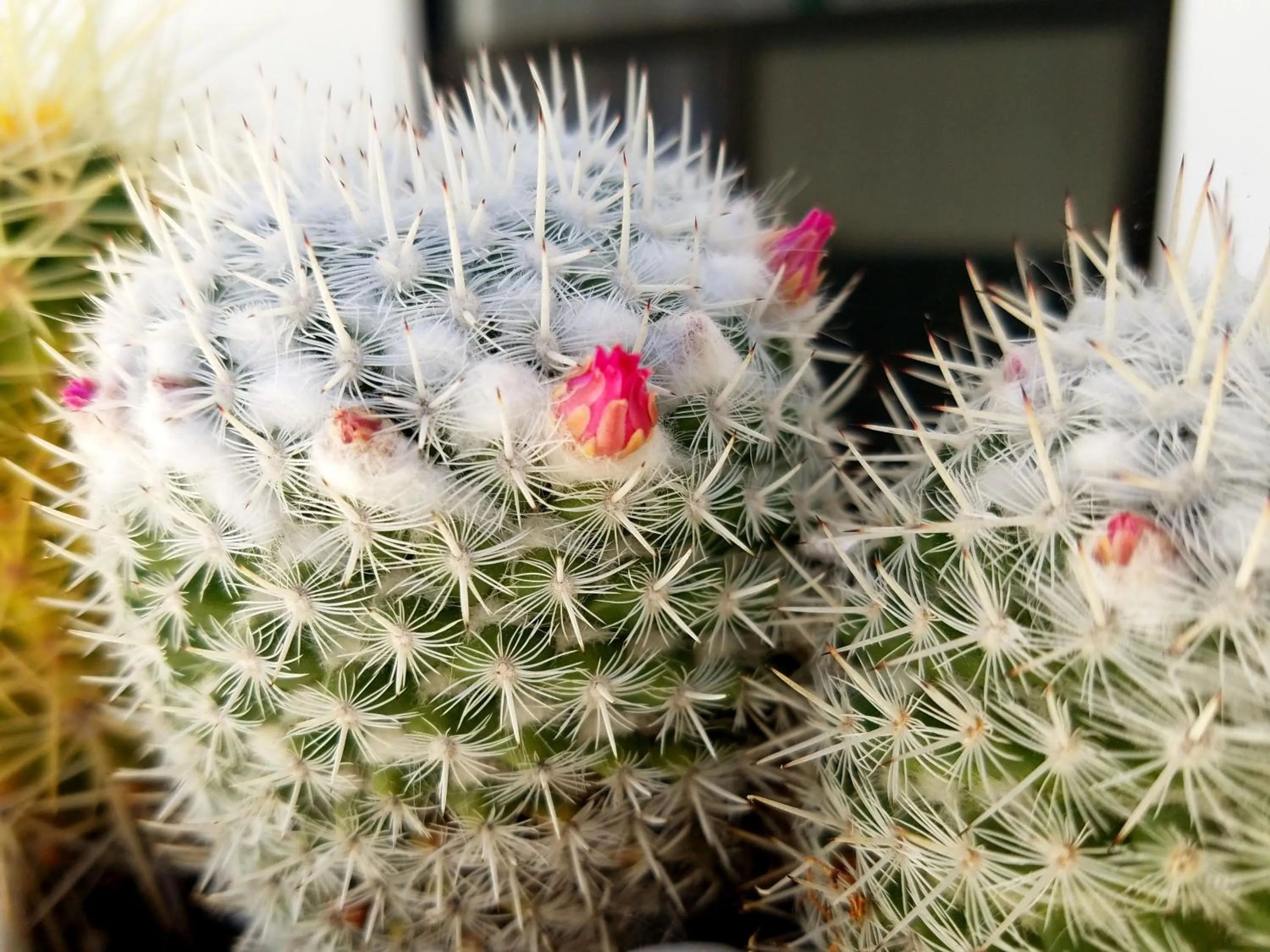 Property building in Hotel Santiago