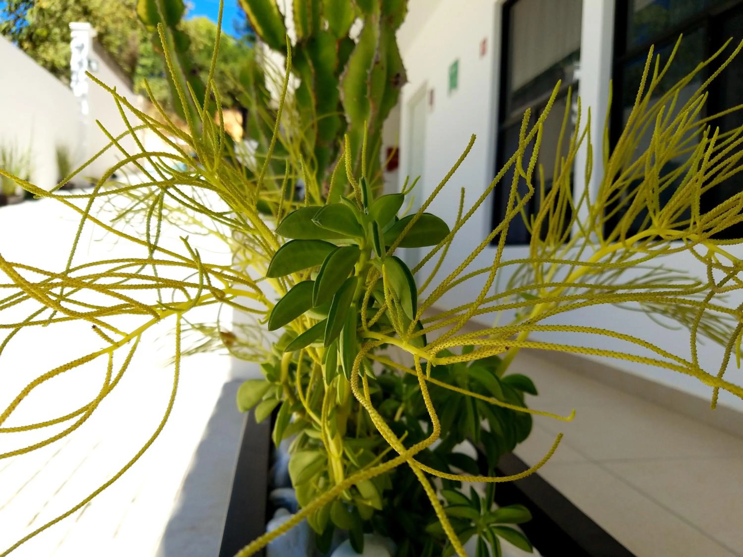 Property building in Hotel Santiago