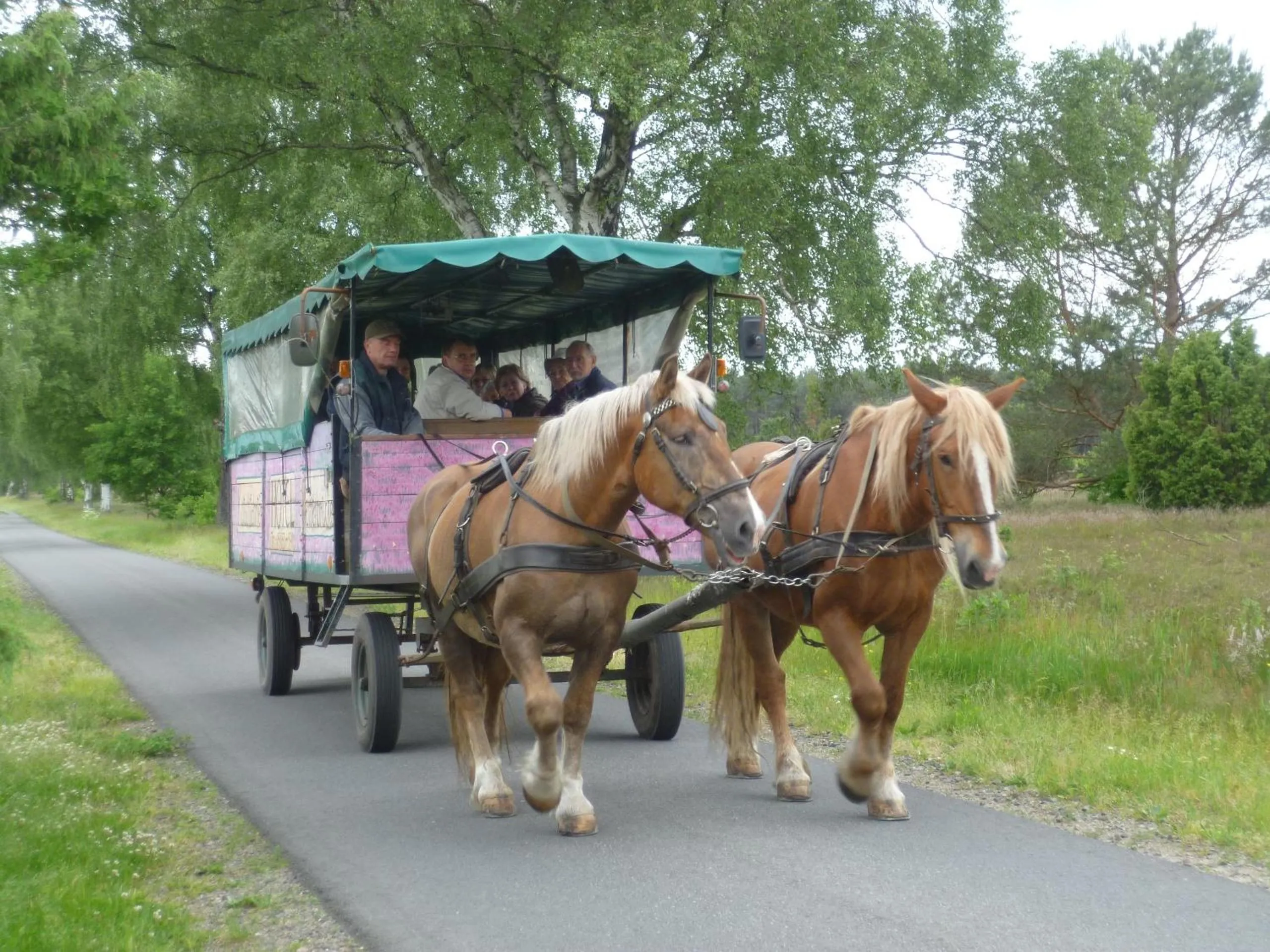 group of guests in Heidehotel Herrenbrücke