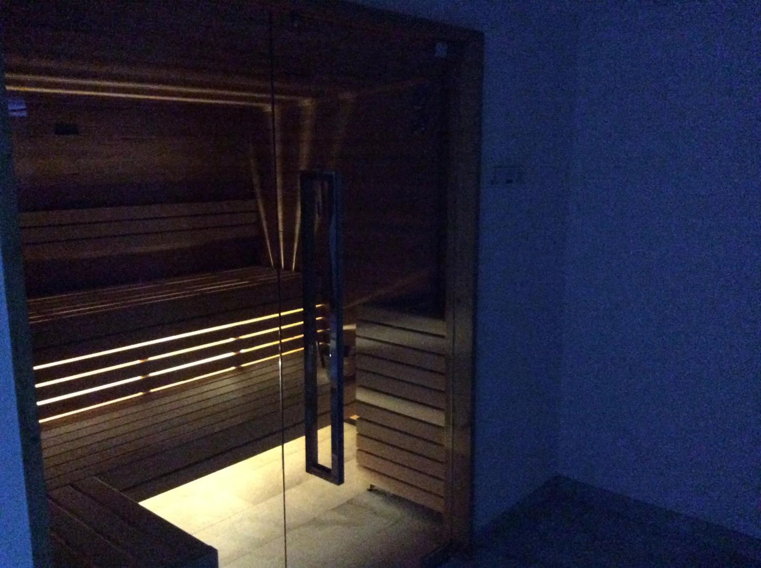 Sauna in Hotel Silvana
