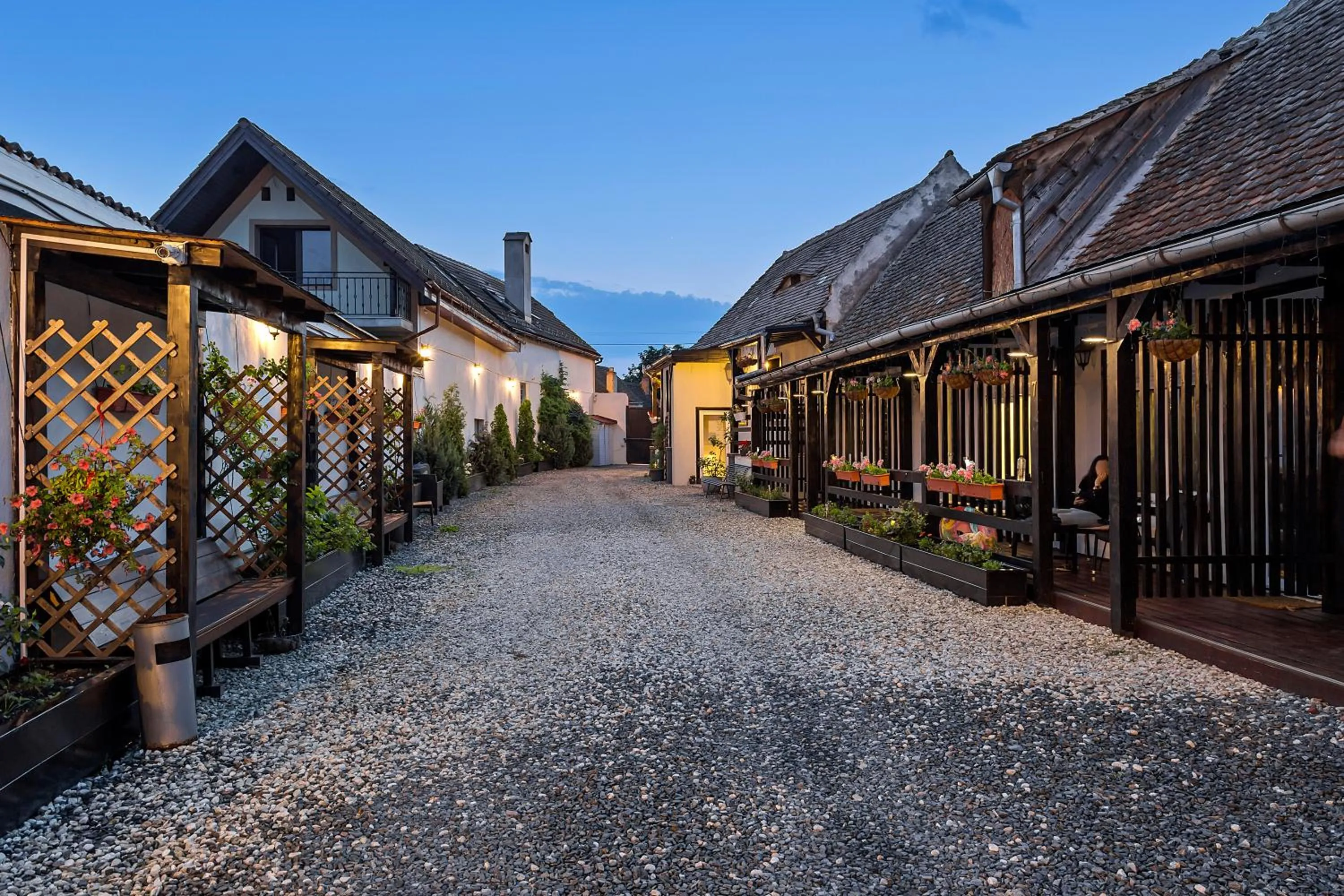 Inner courtyard view in Pensiunea Alina "Adults Only"