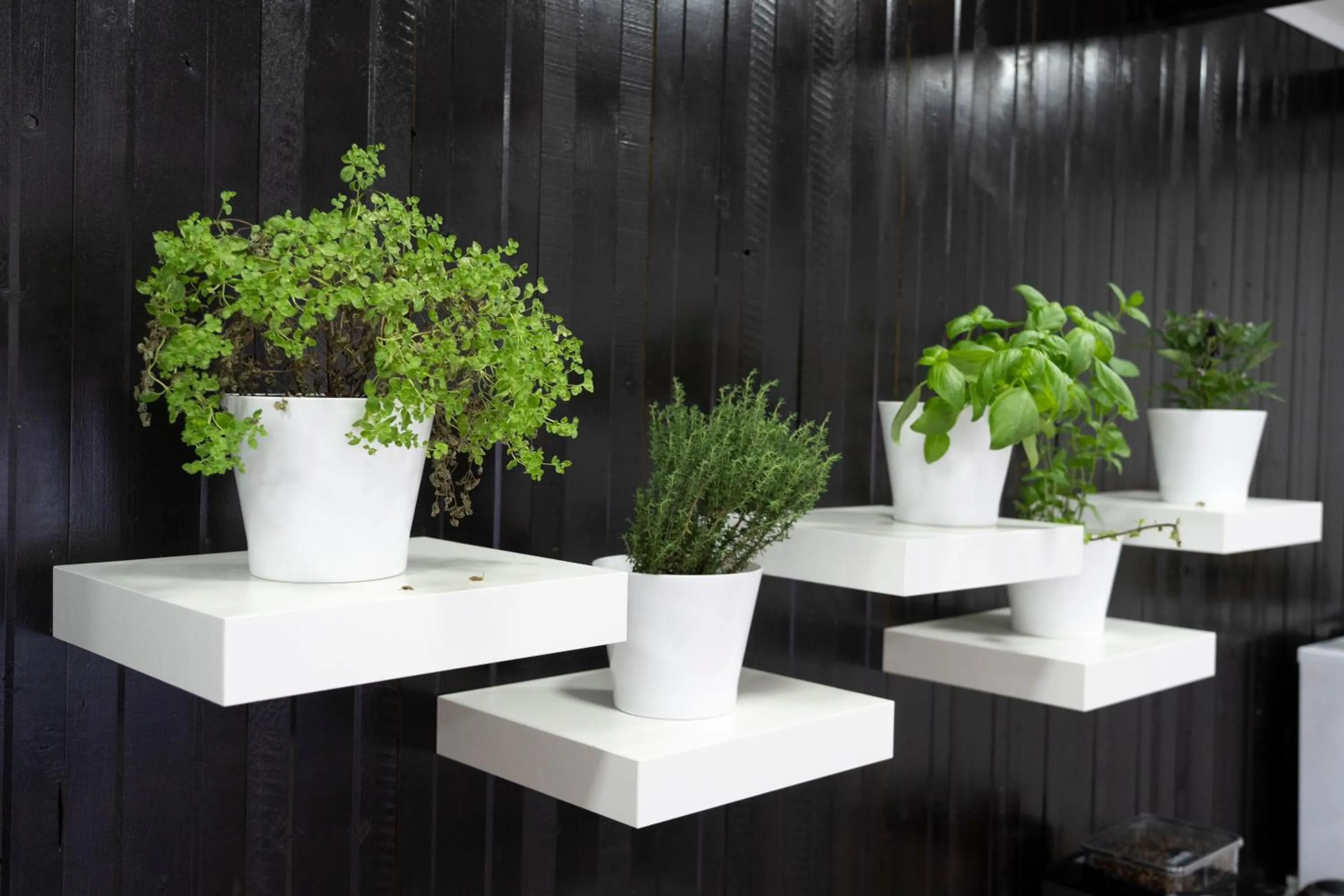 Kitchen or kitchenette in Pensiunea Alina "Adults Only"